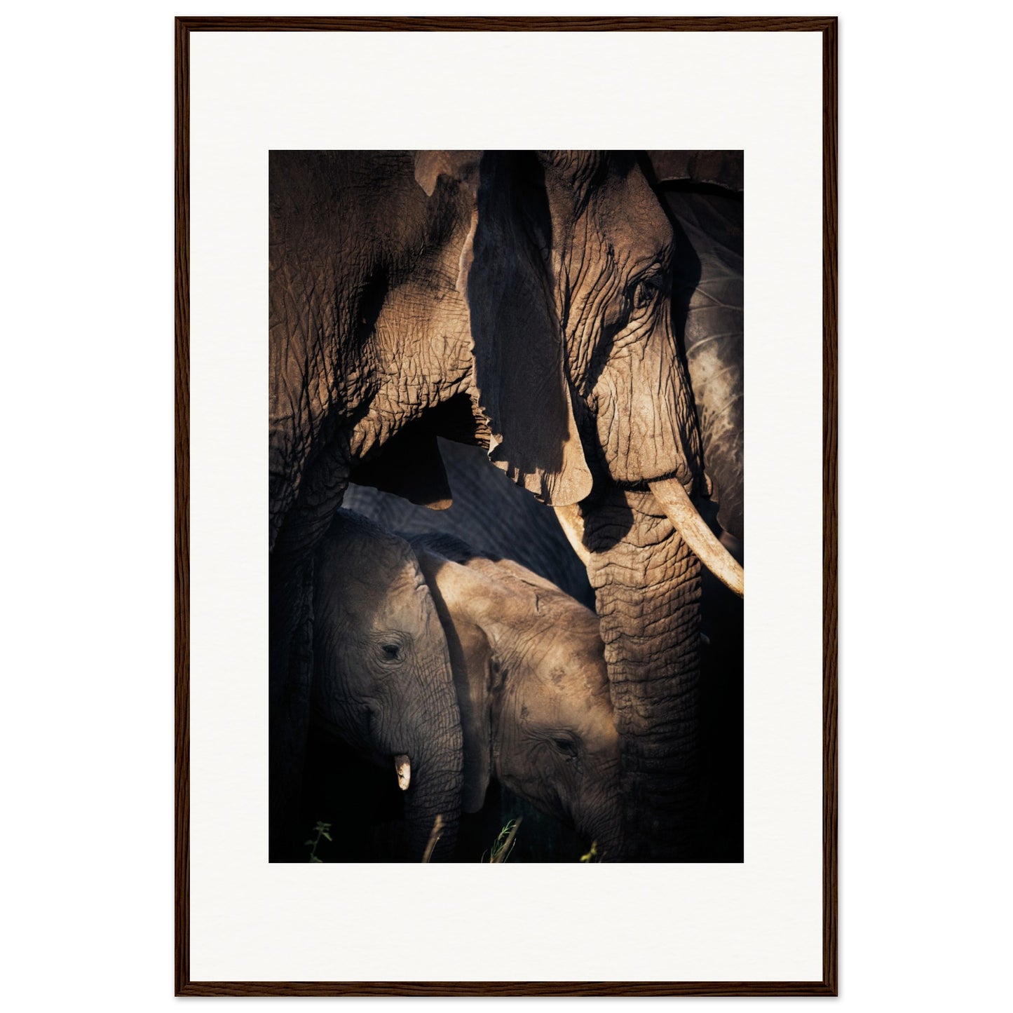 Serengeti Elephant