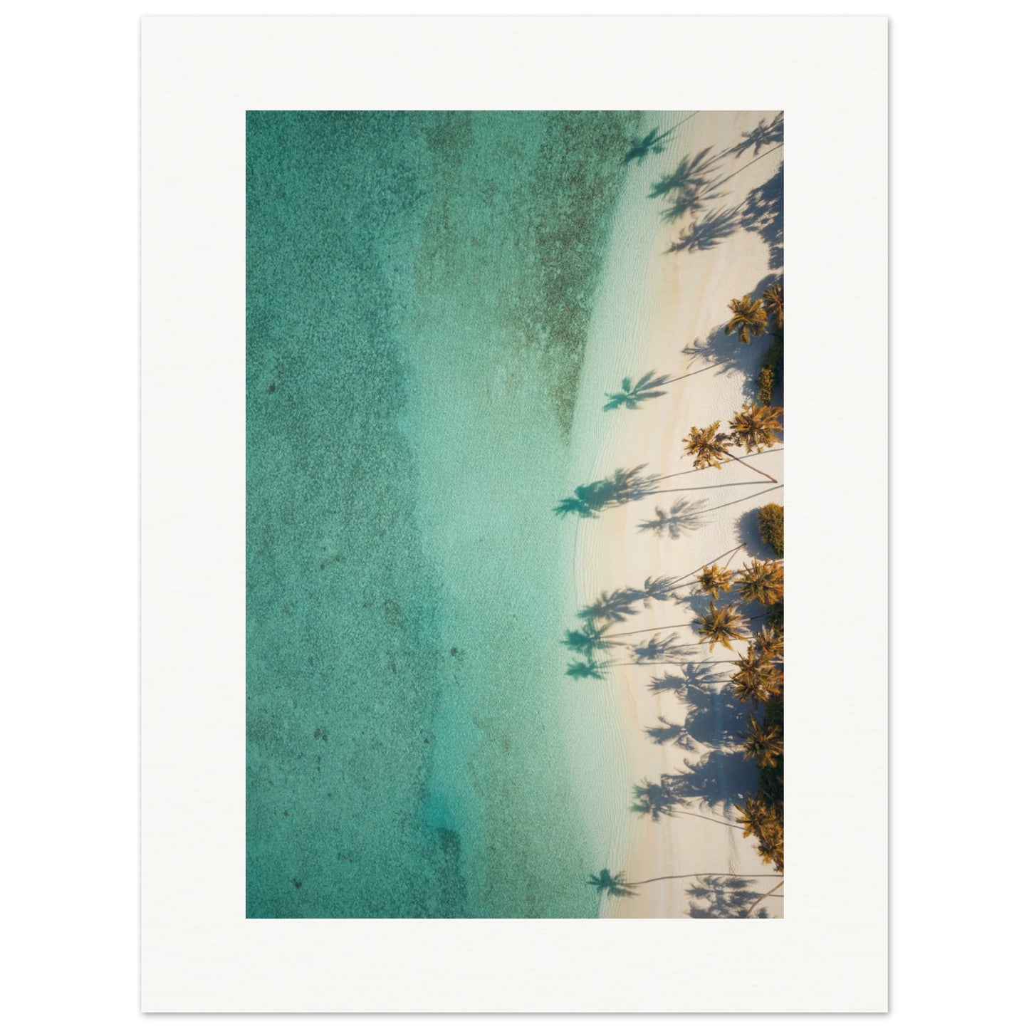 The Beach