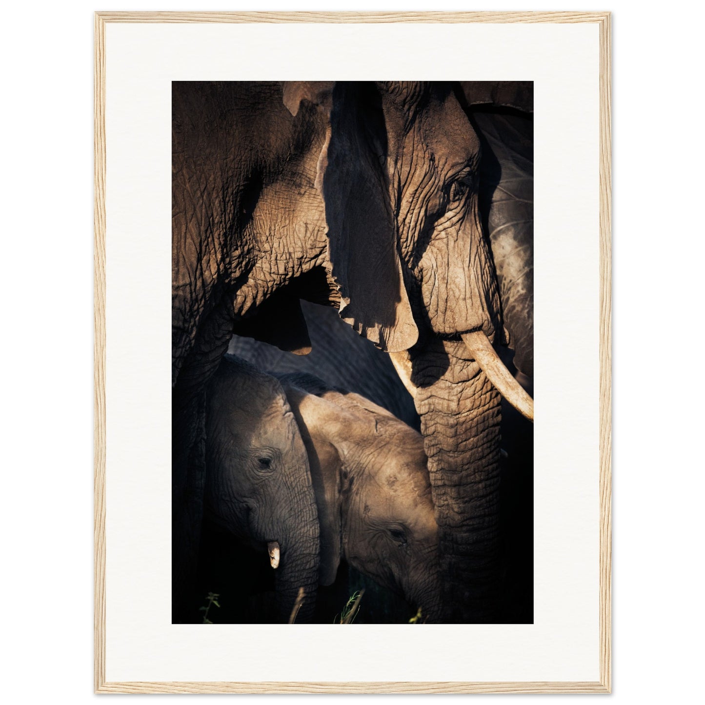 Serengeti Elephant