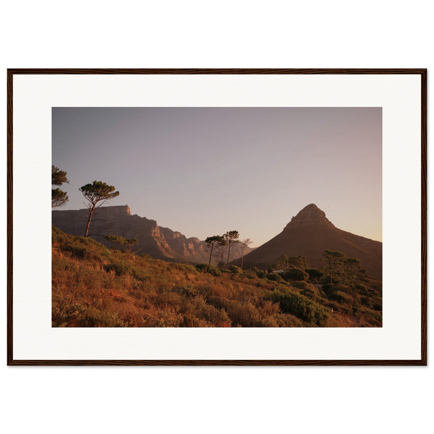 Cape Town Signal Hill