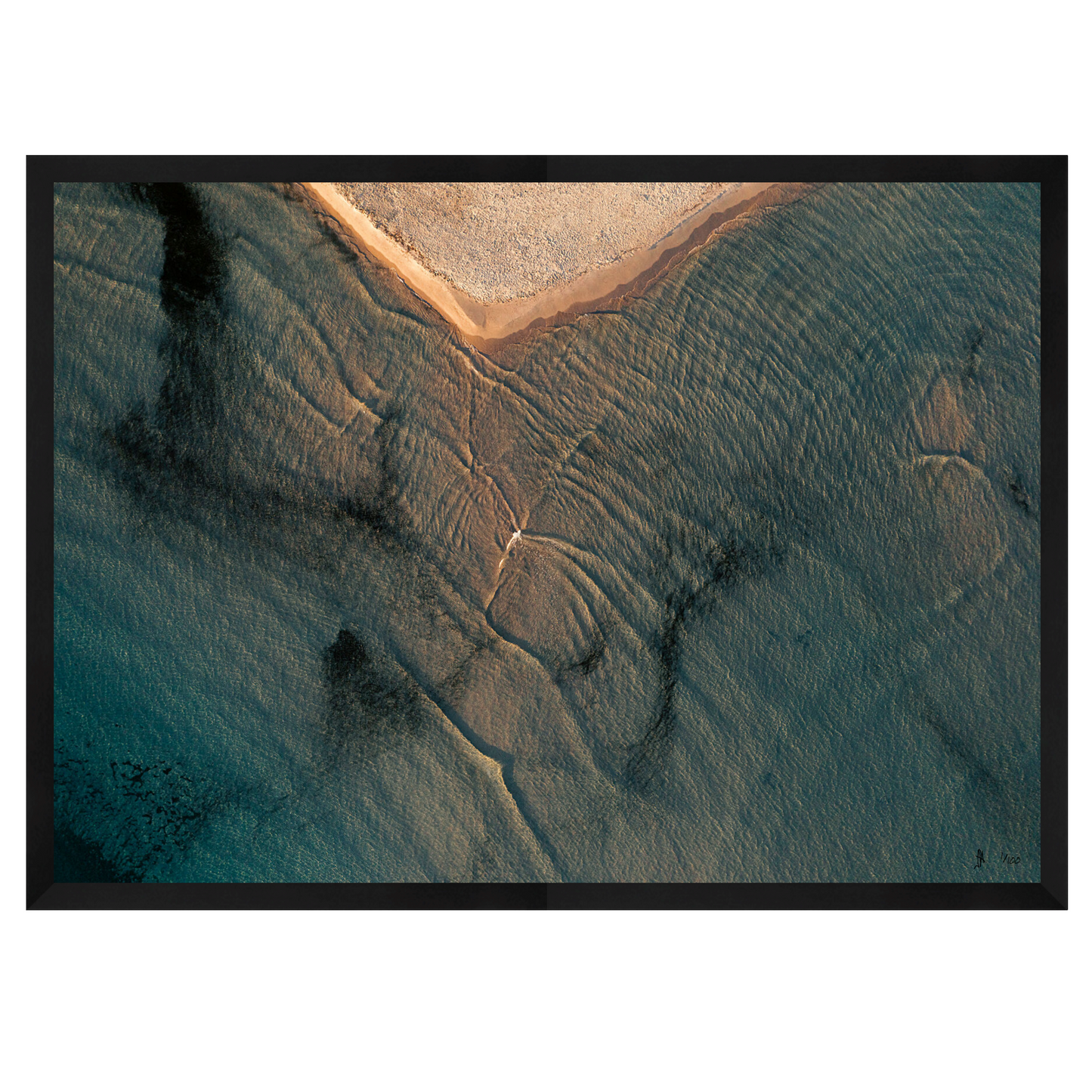 CALVI - Limited Edition