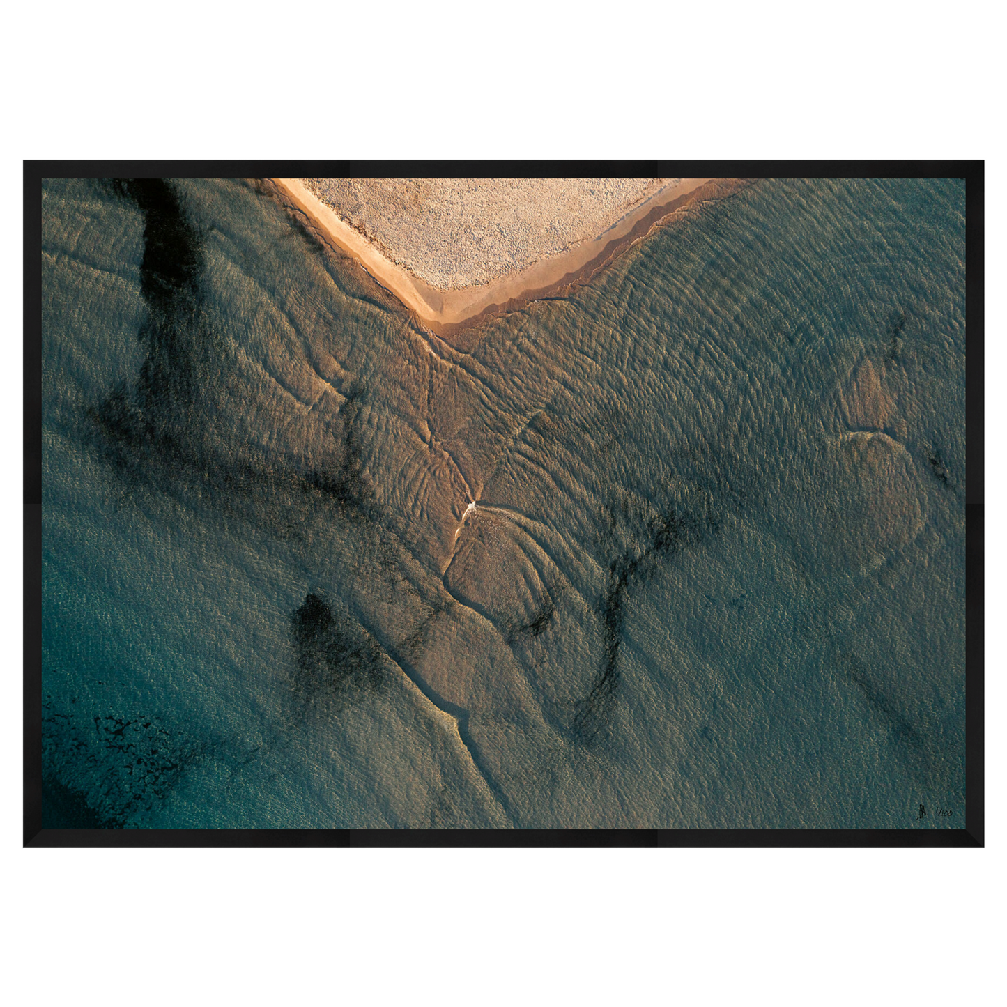 CALVI - Limited Edition