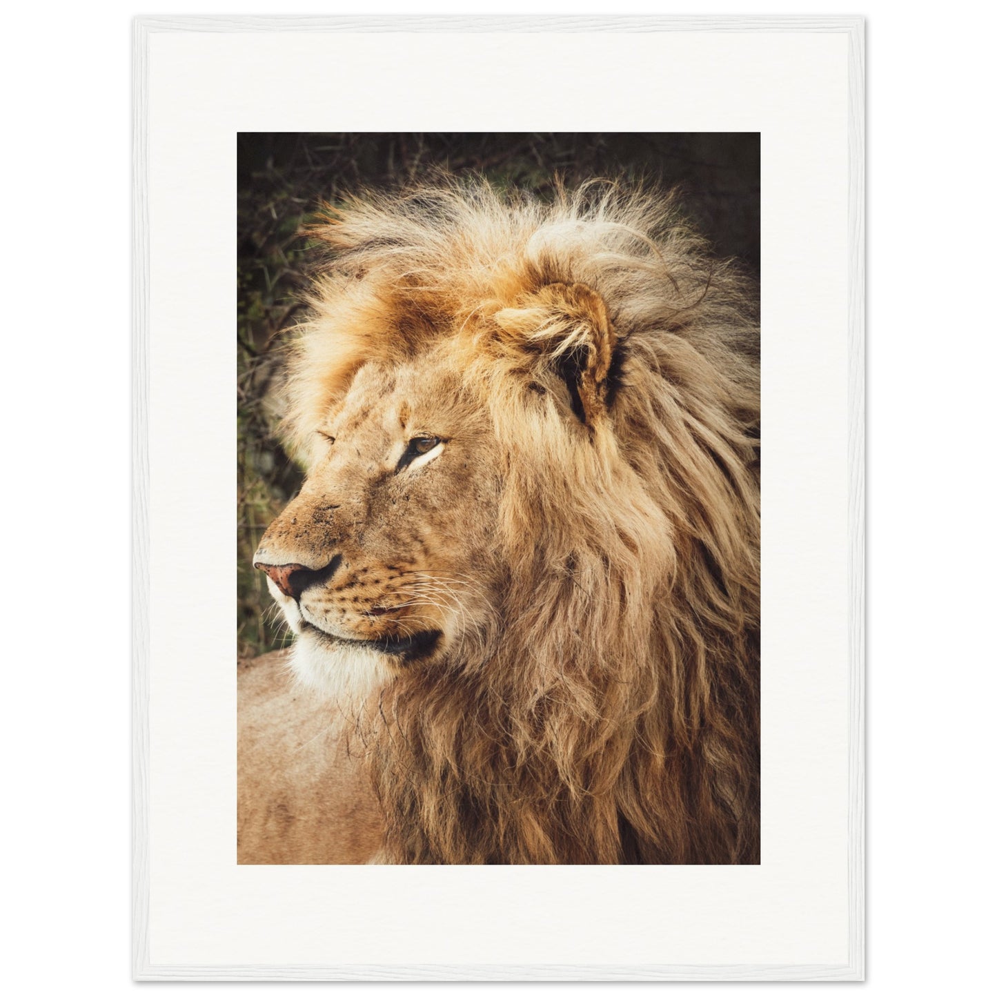 Ngorongoro Ndutu Leo