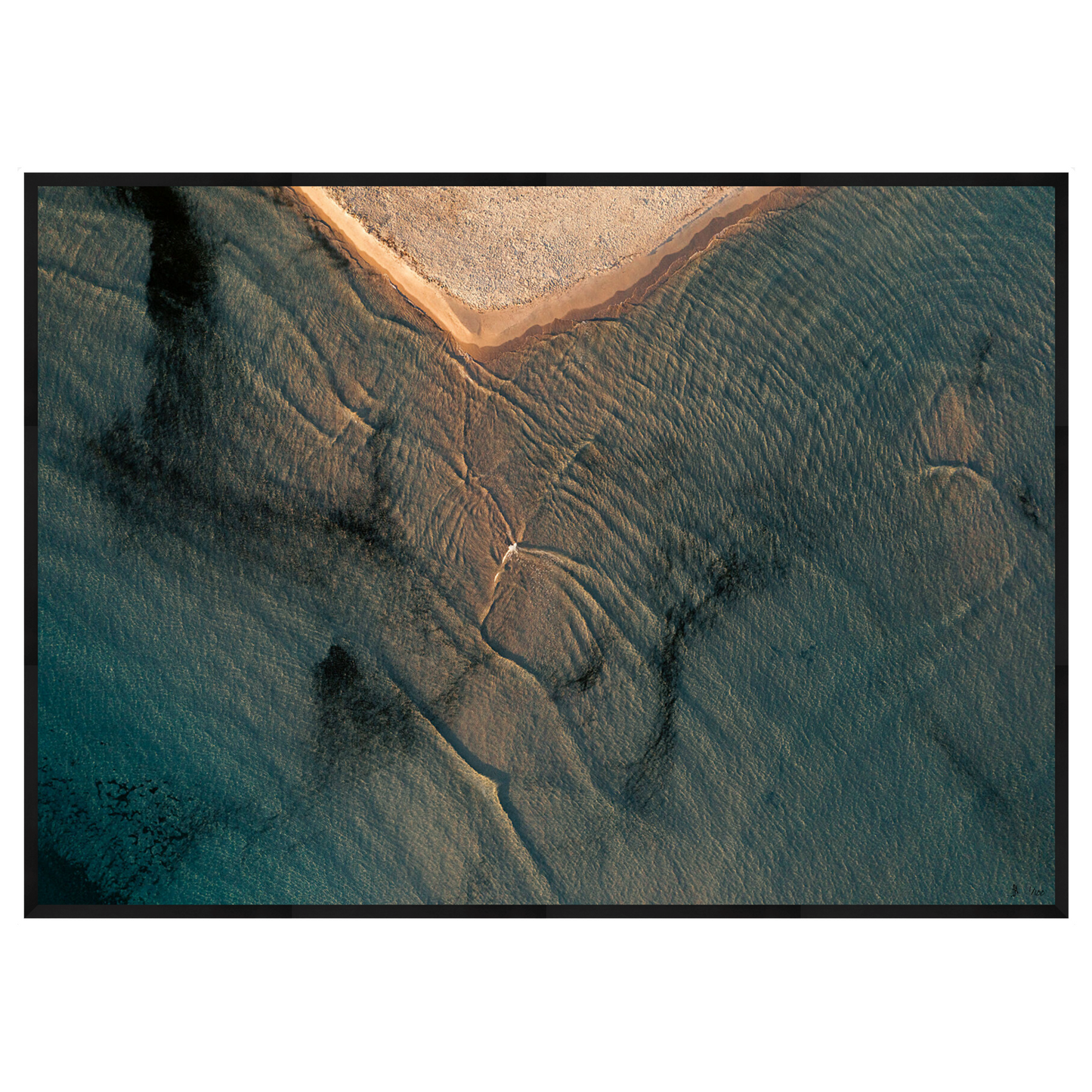 CALVI - Limited Edition