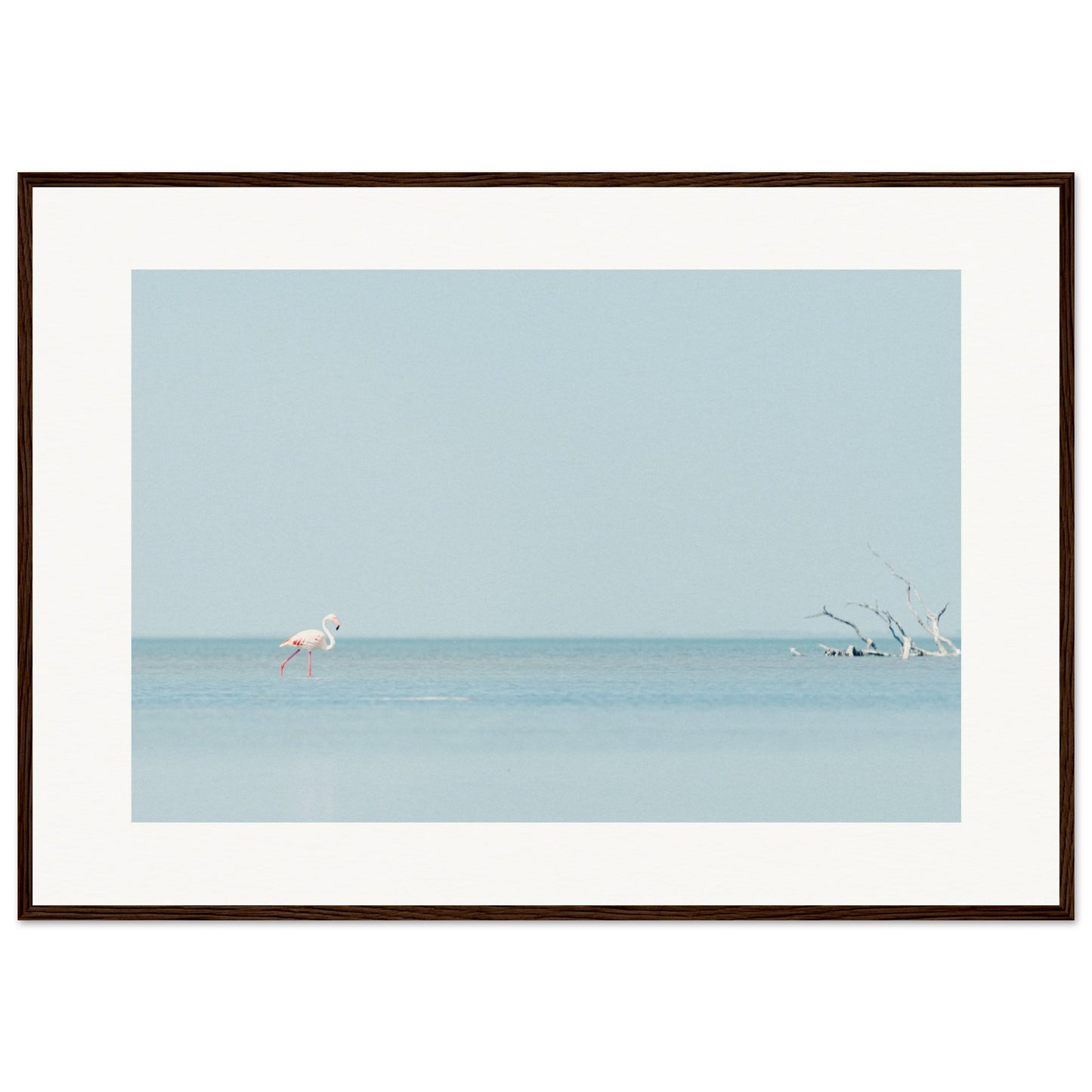 Flamingo La Capeliere