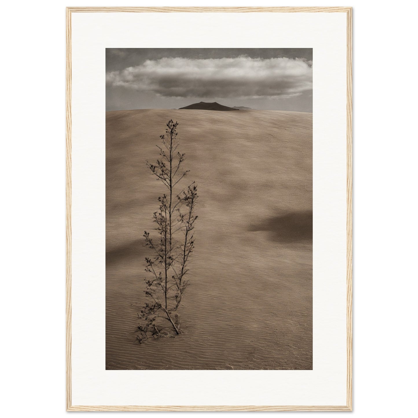 313fa427-aa9c-4e51-98c5-c206d3235498