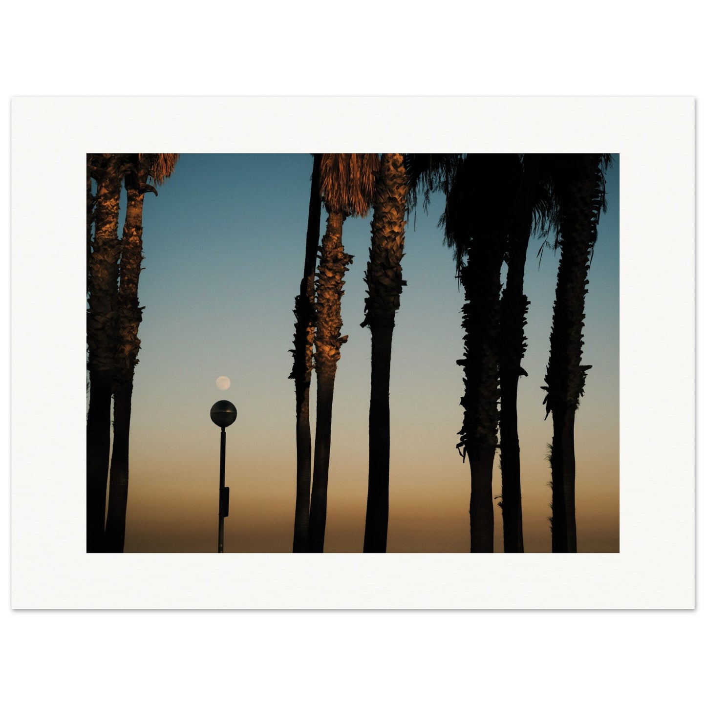 Shapes of Barcelona 05