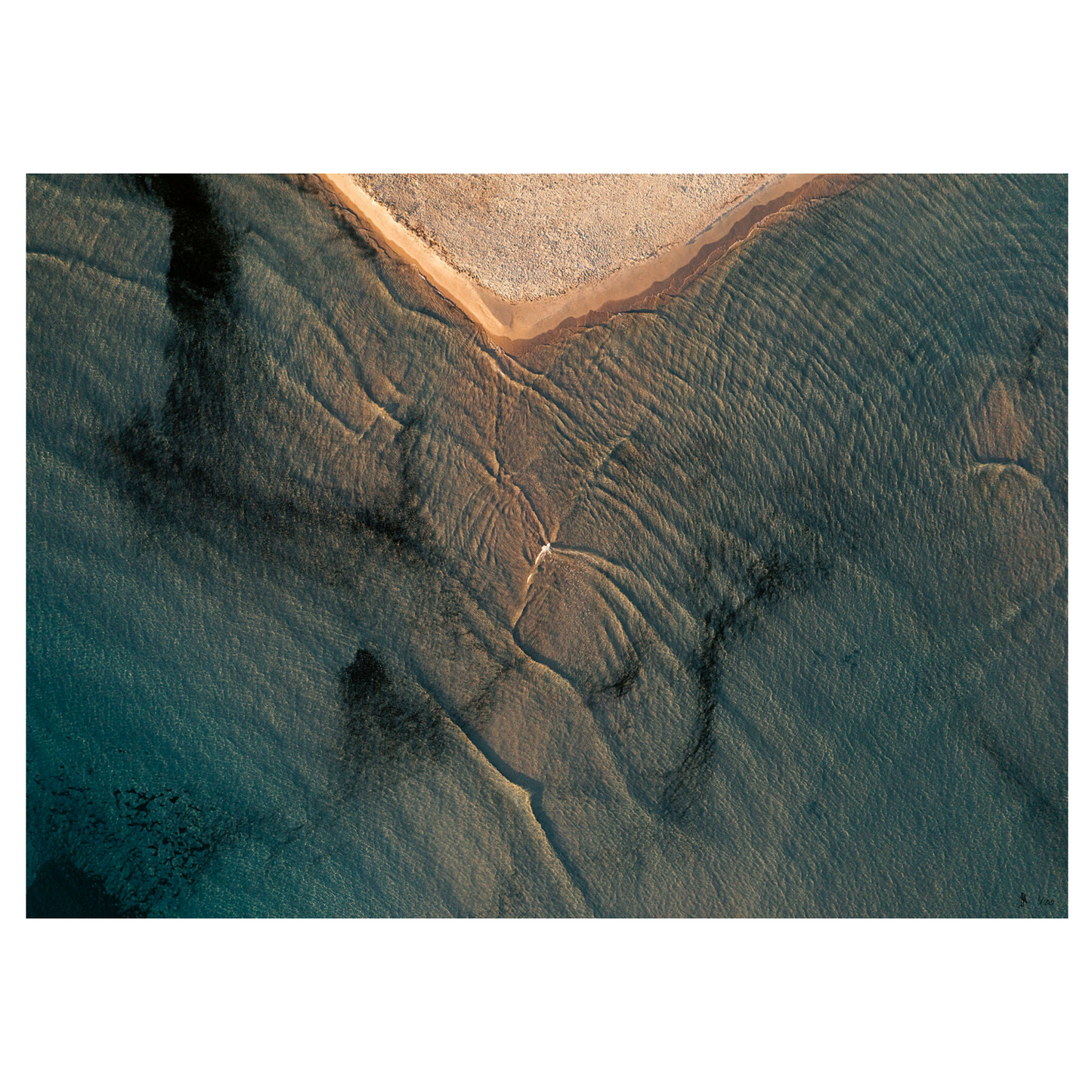 CALVI - Limited Edition