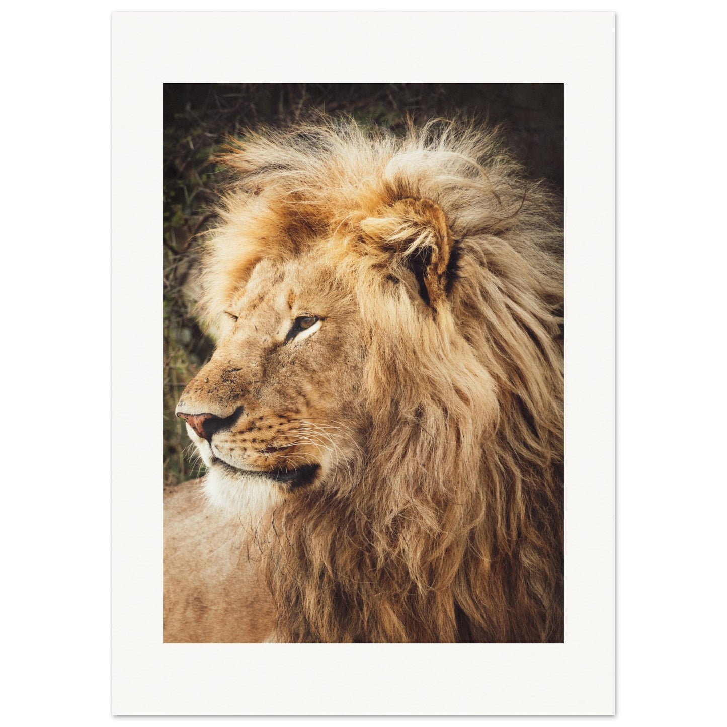 Ngorongoro Ndutu Leo