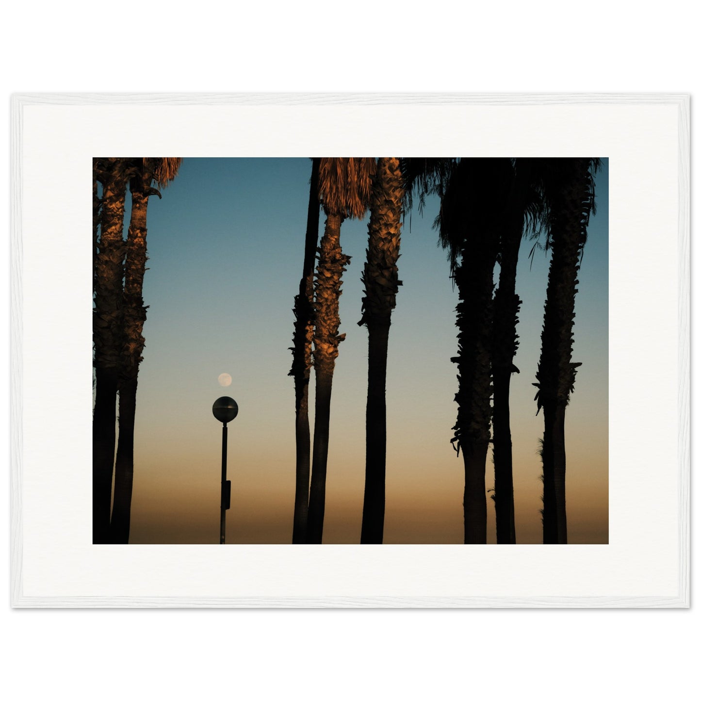 Shapes of Barcelona 05