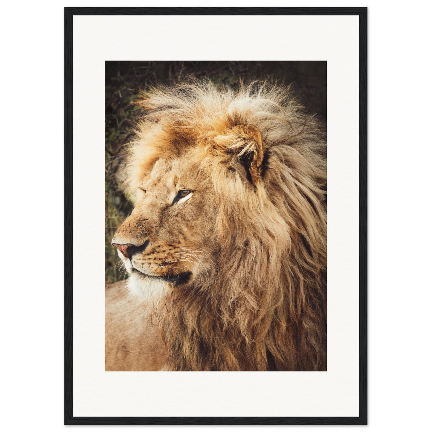 Ngorongoro Ndutu Leo