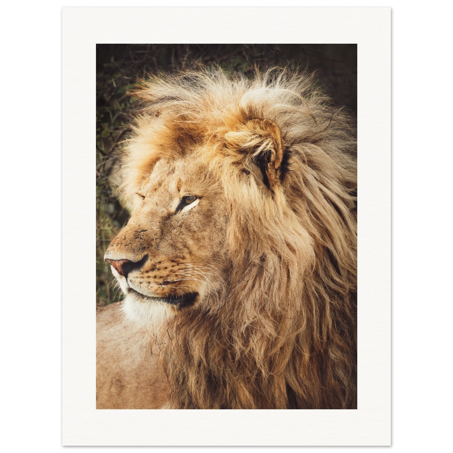 Ngorongoro Ndutu Leo
