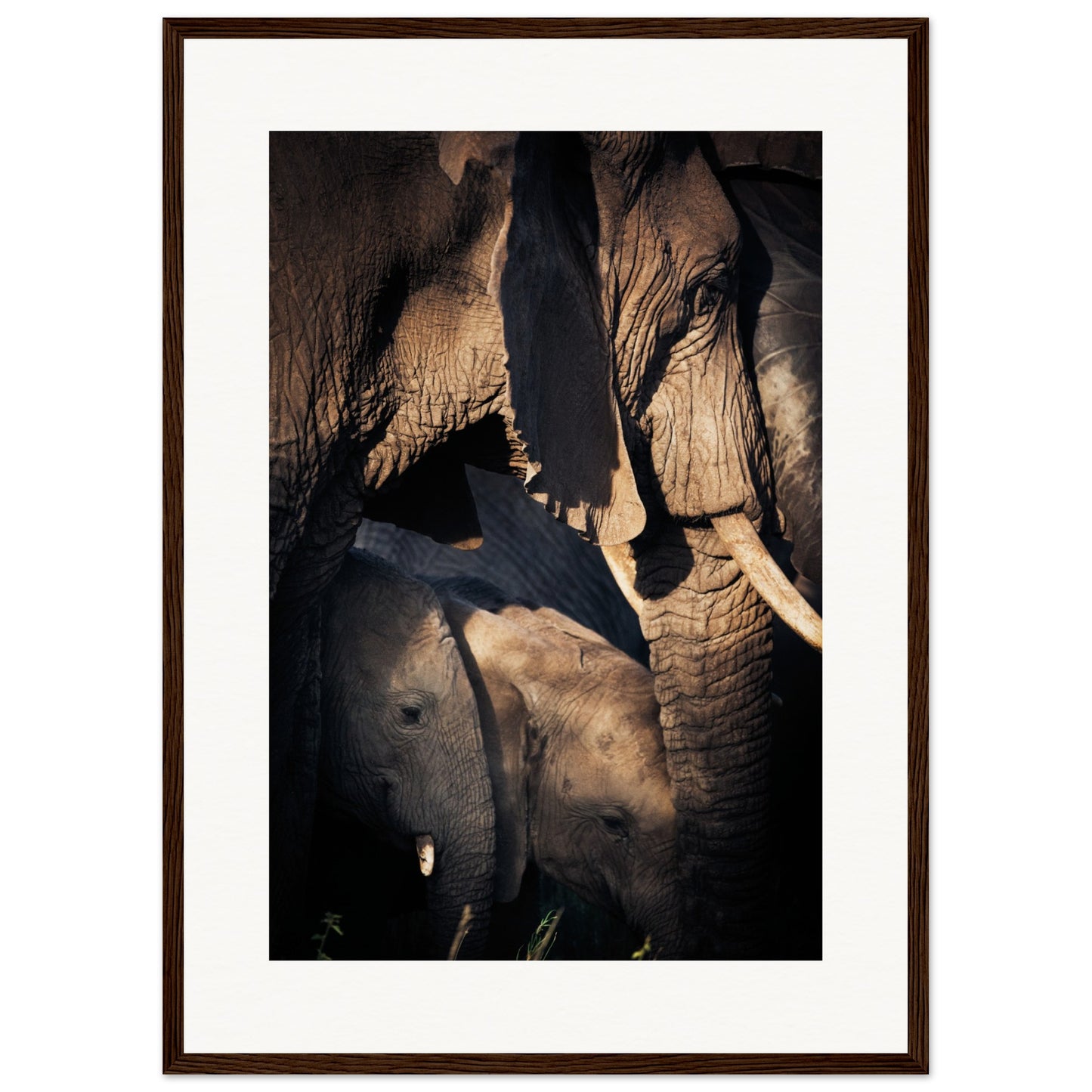 Serengeti Elephant