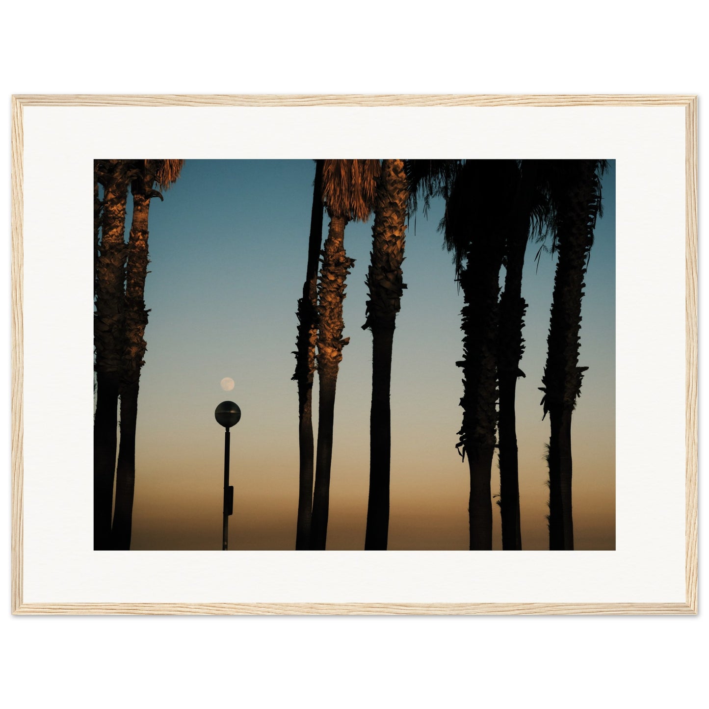 Shapes of Barcelona 05