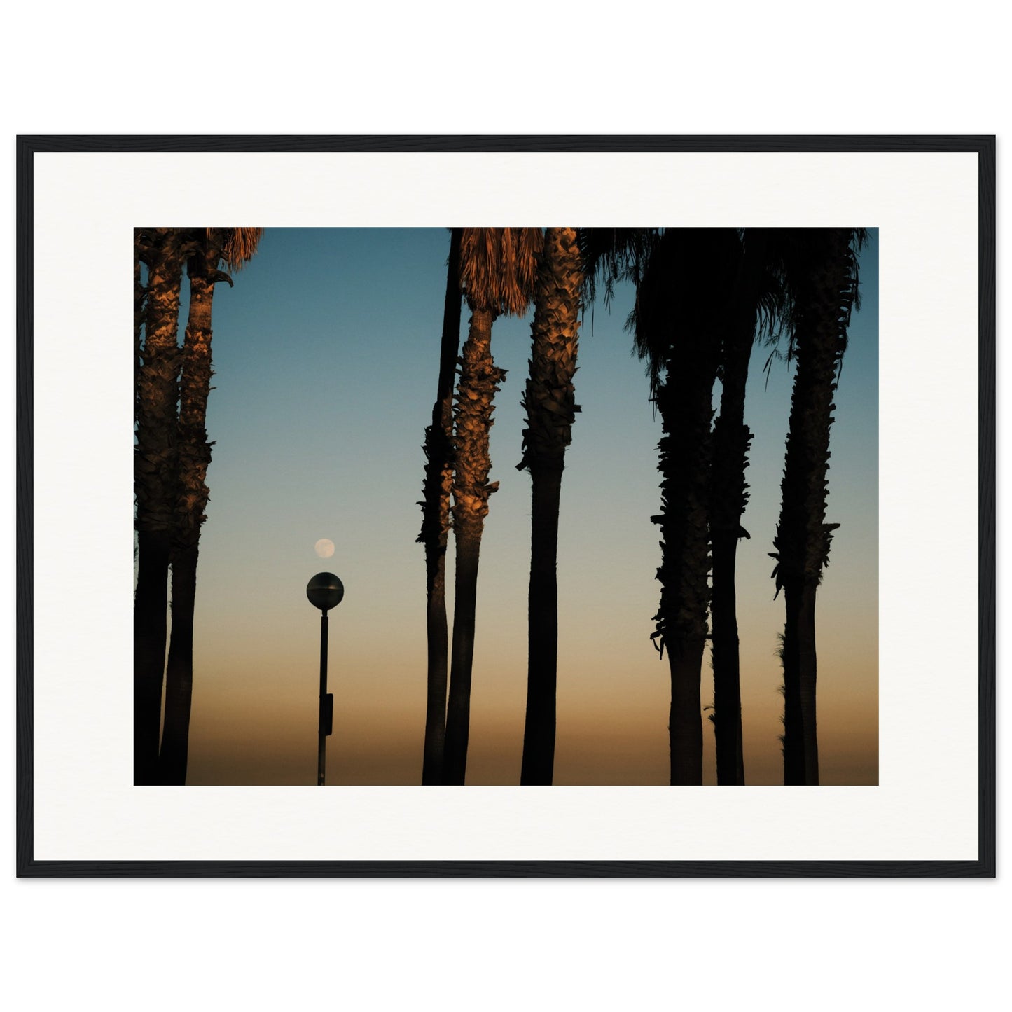 Shapes of Barcelona 05