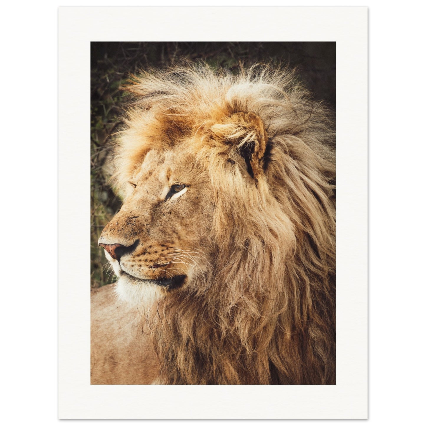 Ngorongoro Ndutu Leo