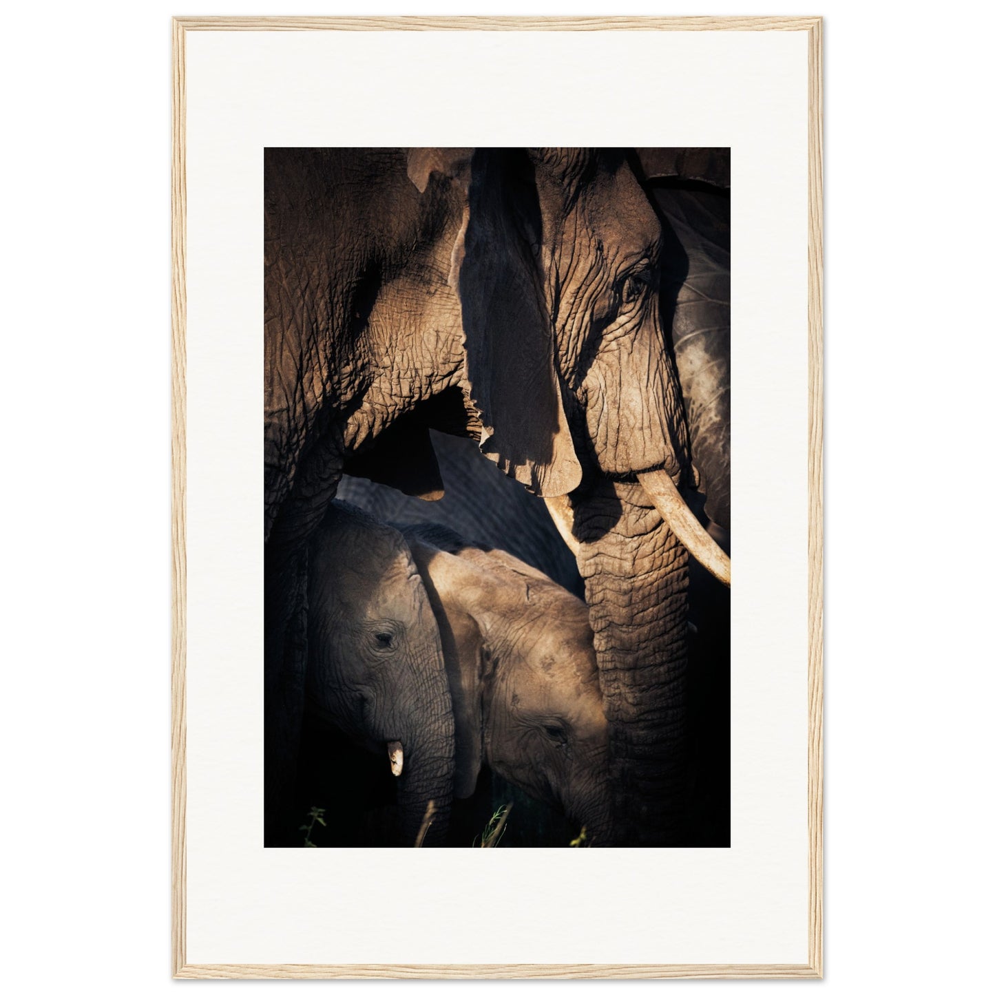 Serengeti Elephant