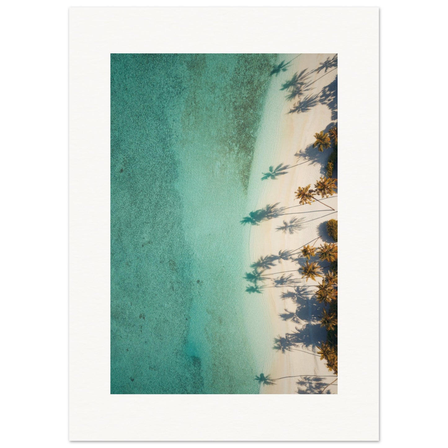 The Beach