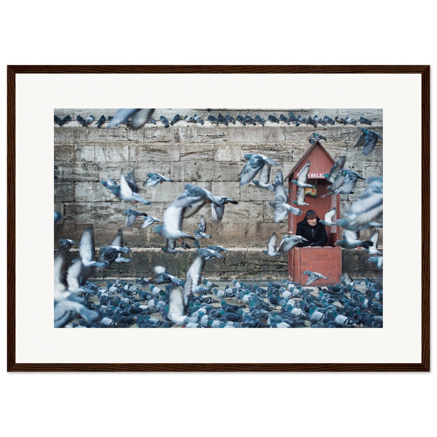 Homme aux pigeons