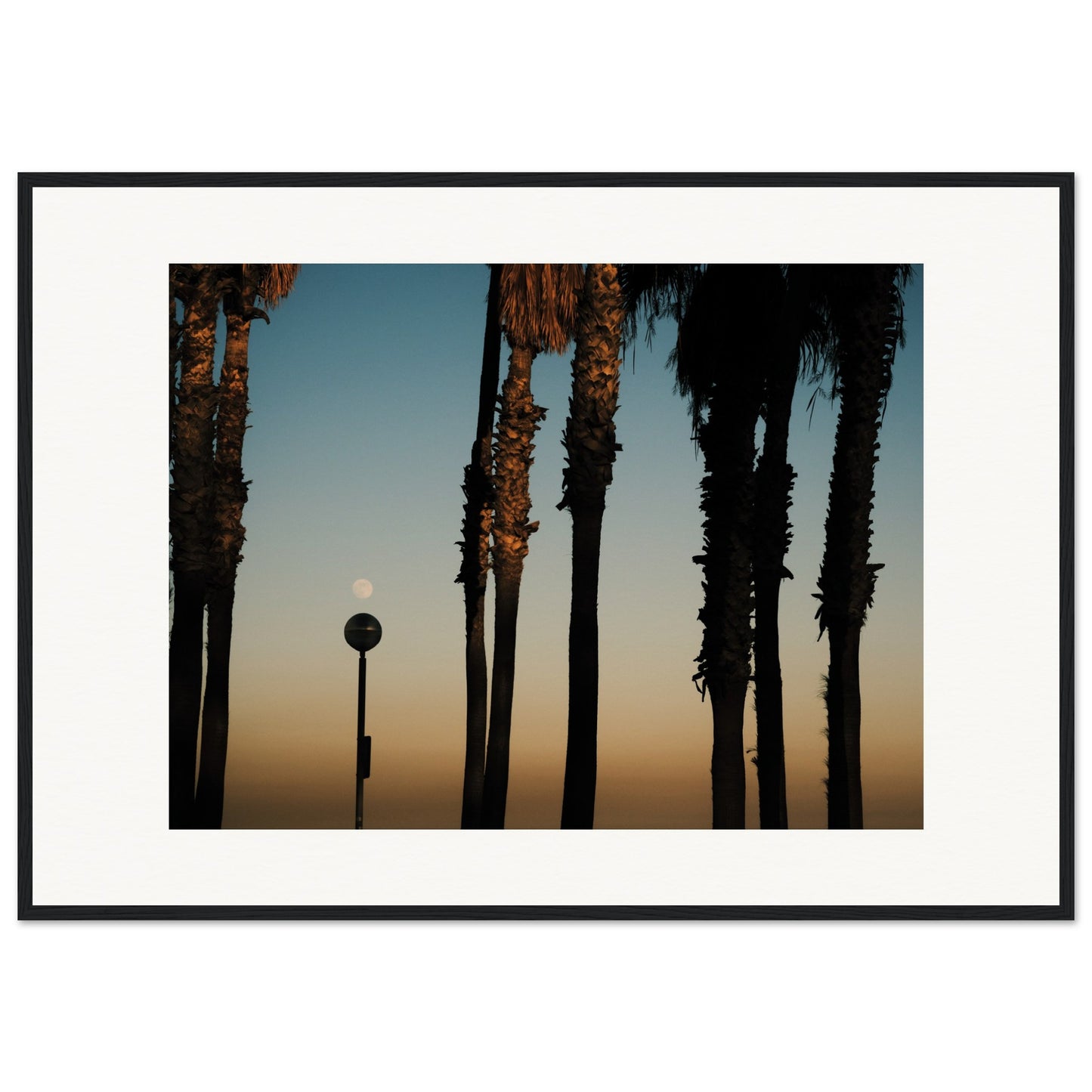 Shapes of Barcelona 05