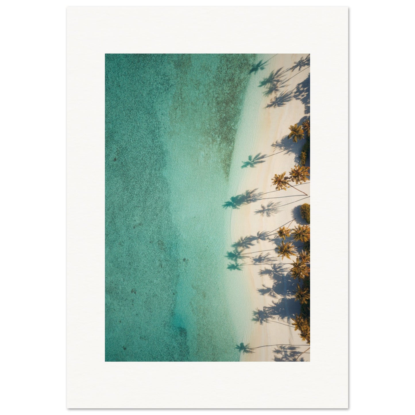 The Beach