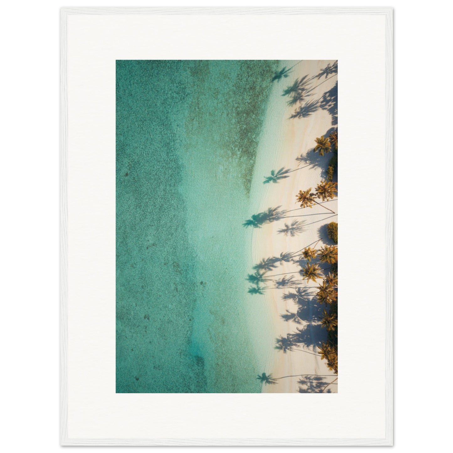 The Beach
