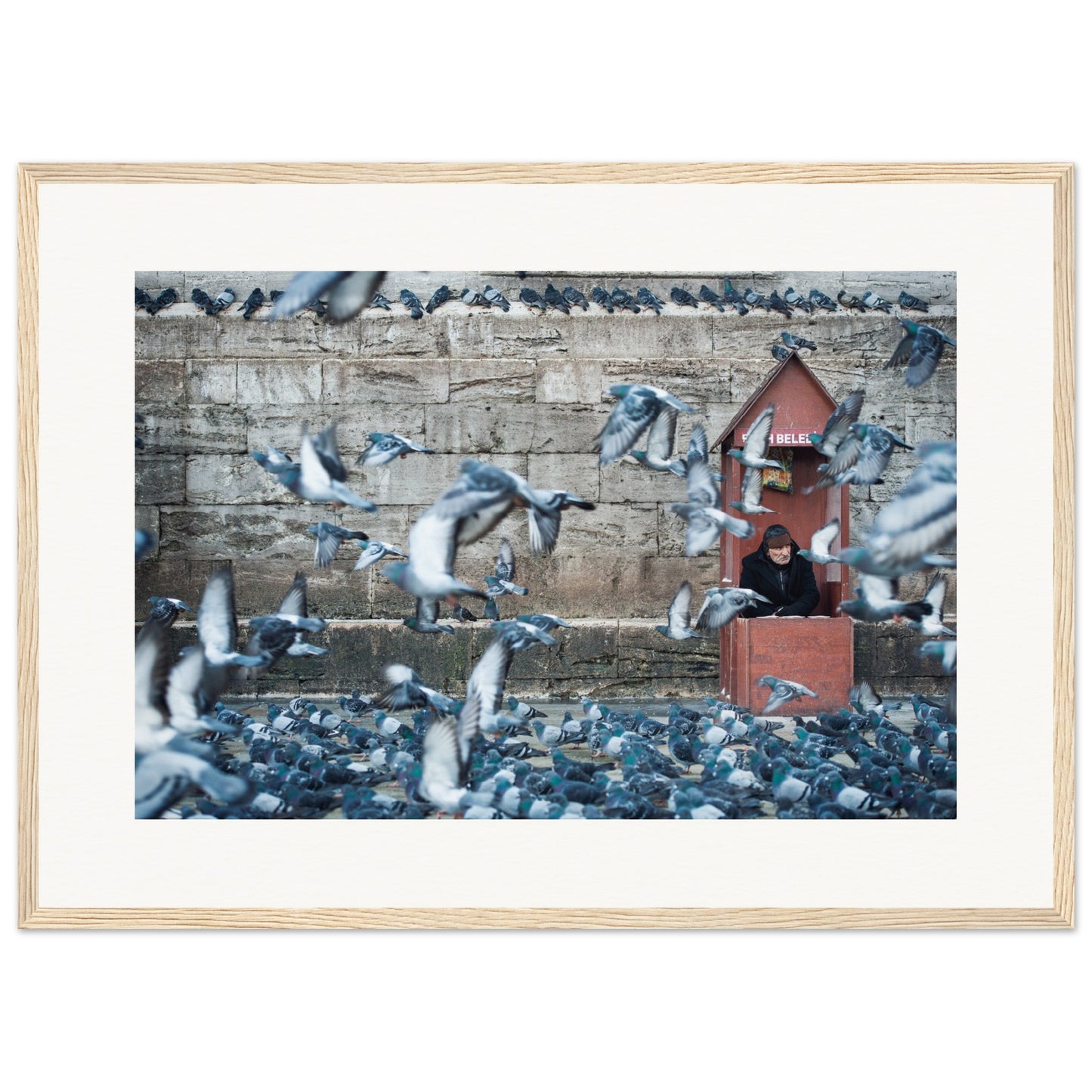 Homme aux pigeons