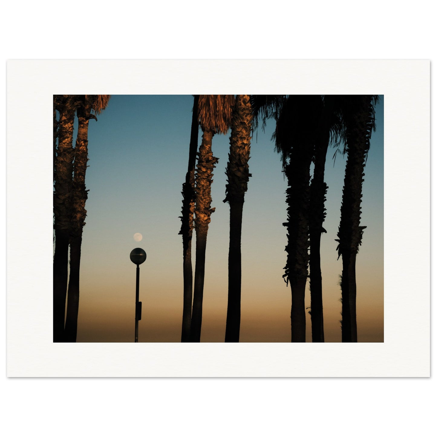 Shapes of Barcelona 05