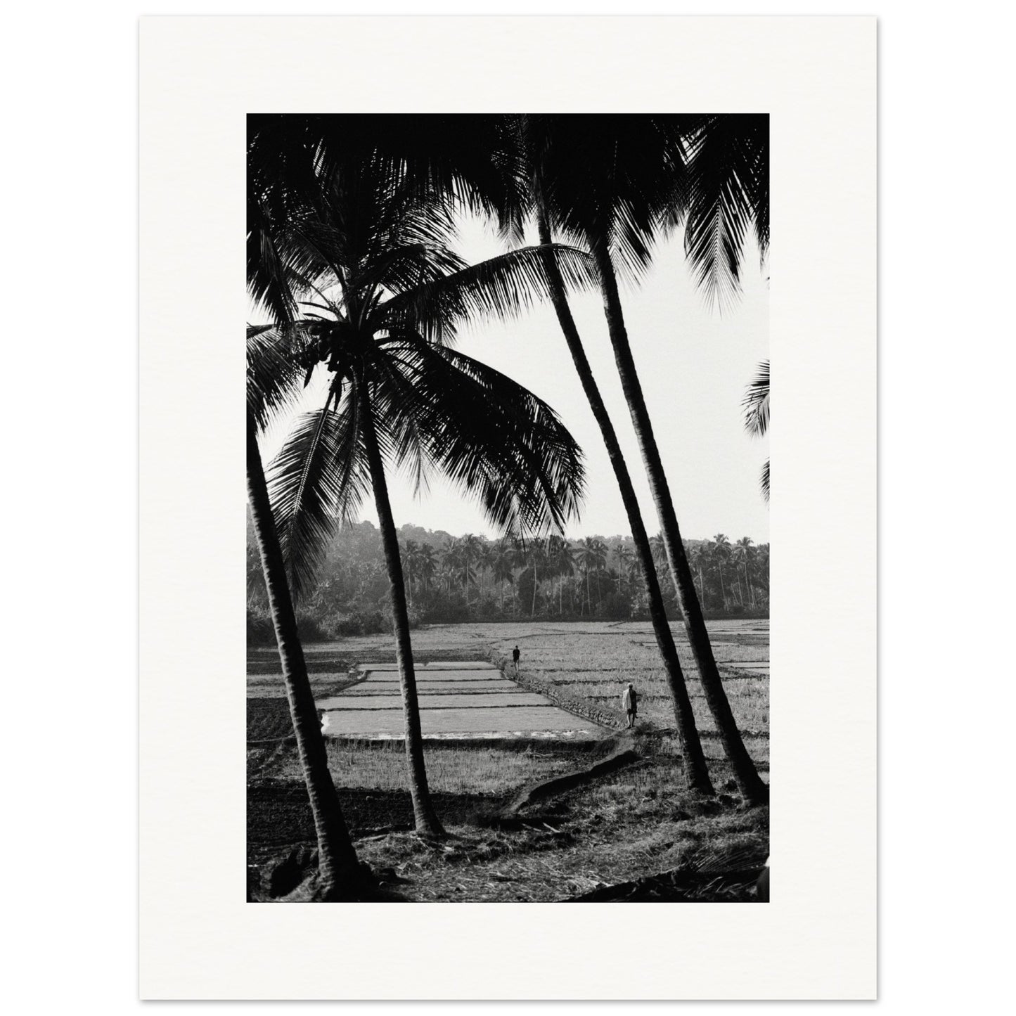 Goa Field