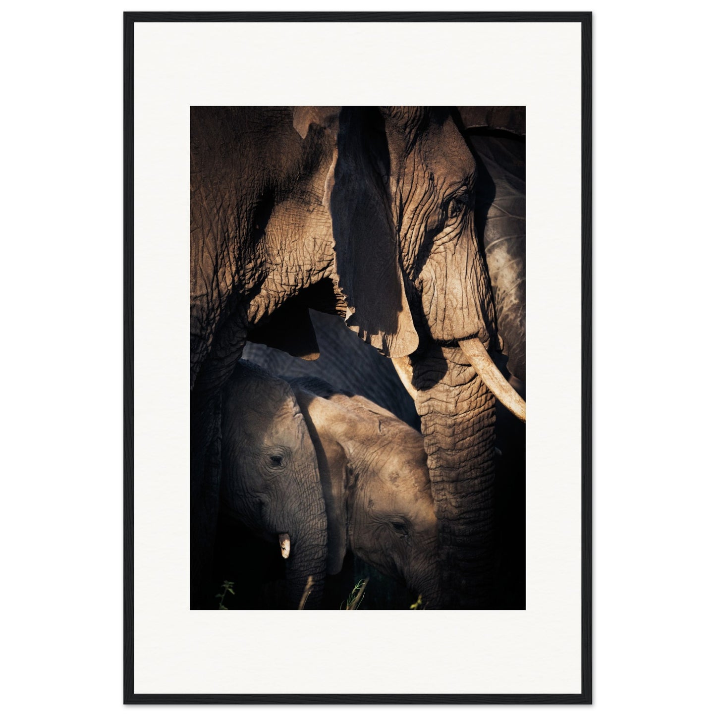 Serengeti Elephant