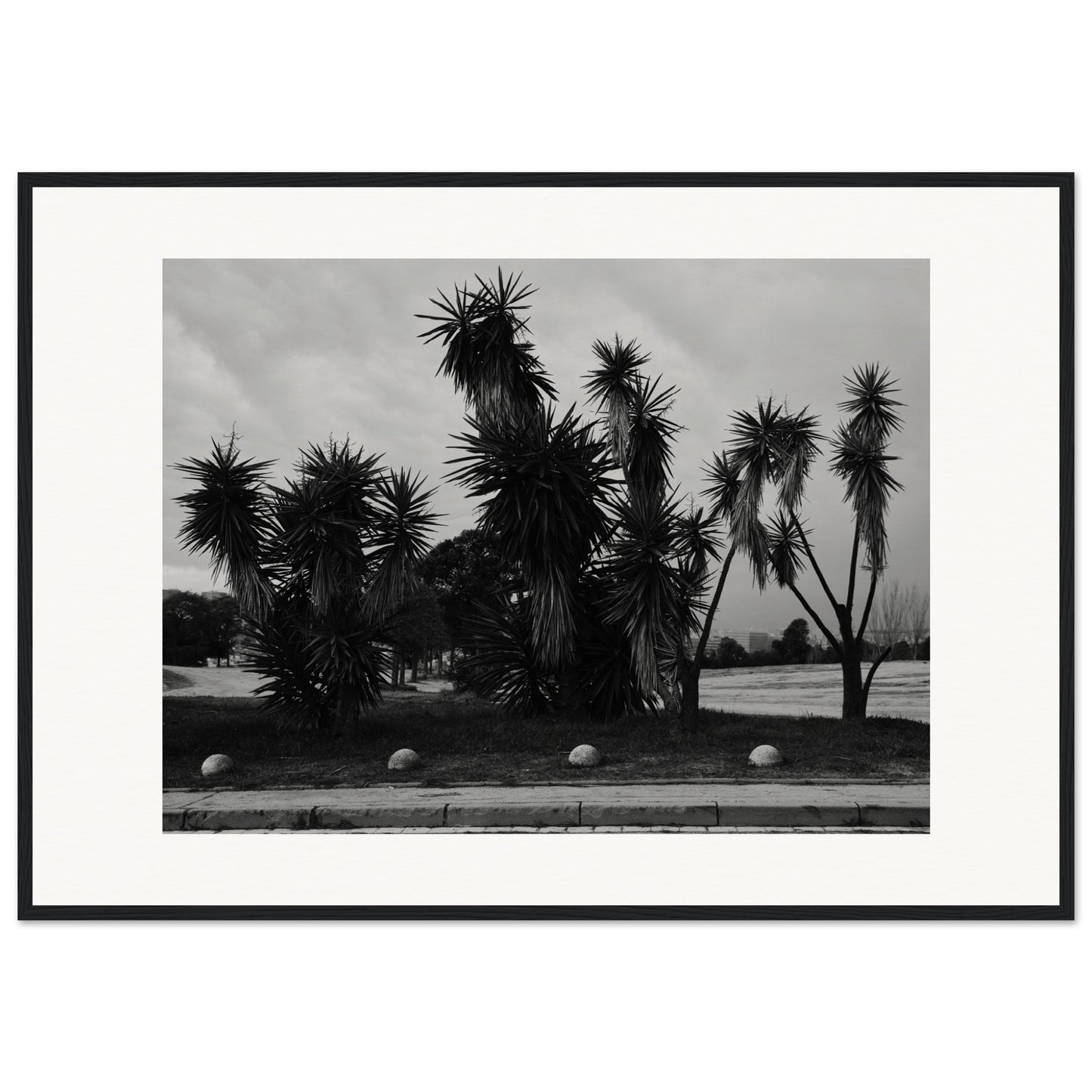 Shapes of Barcelona 10