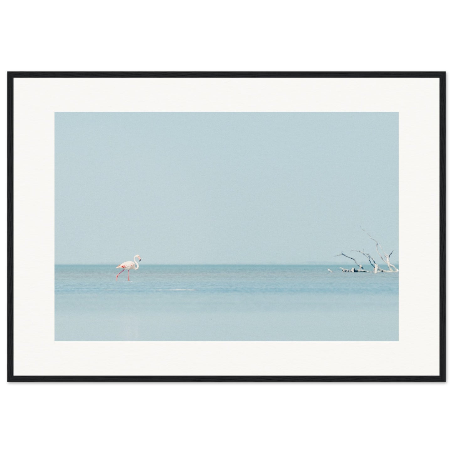 Flamingo La Capeliere