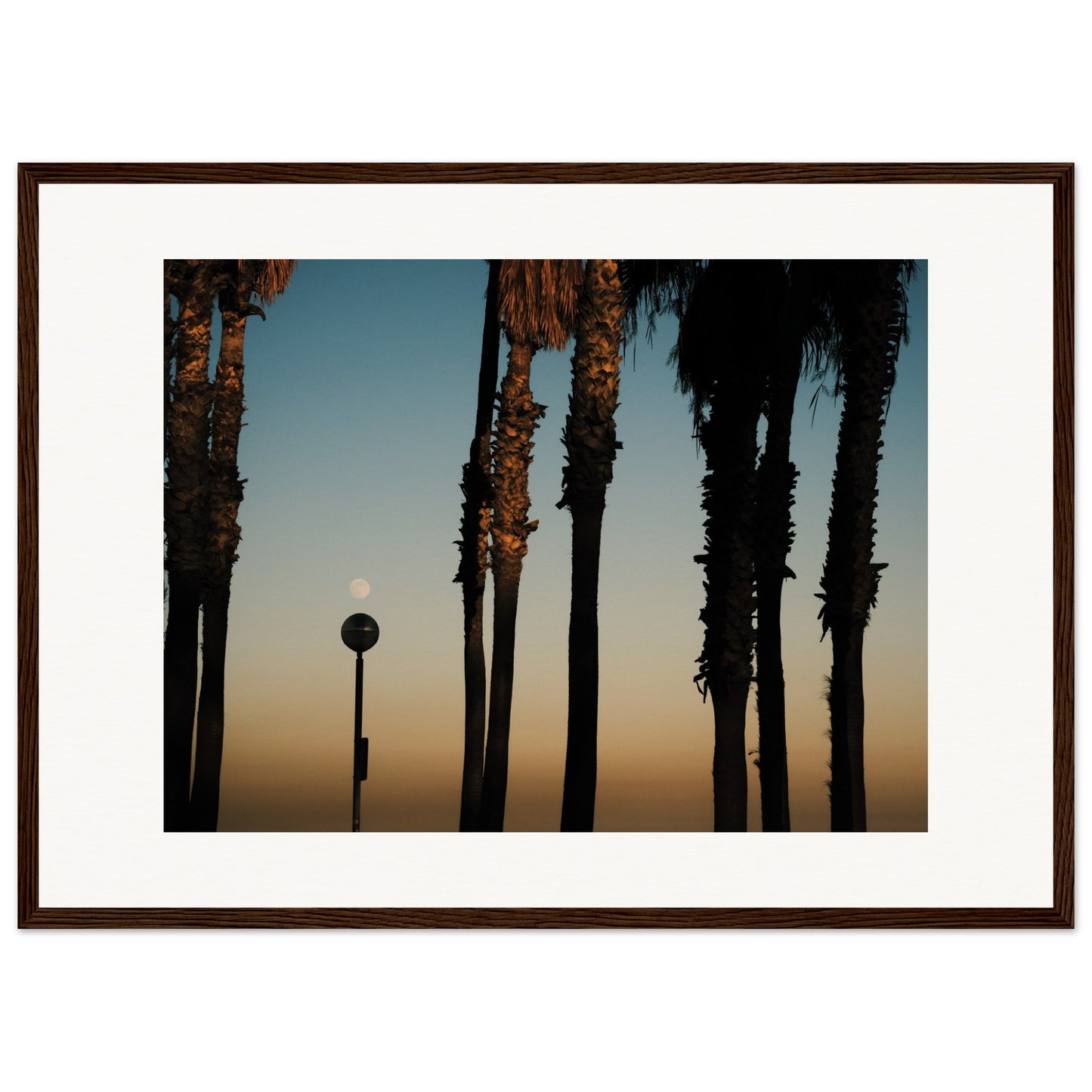 Shapes of Barcelona 05