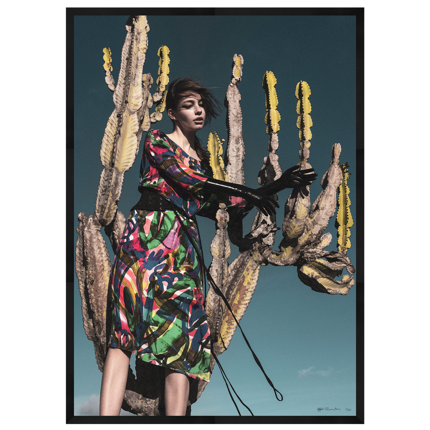 CACTUS - Limited Edition