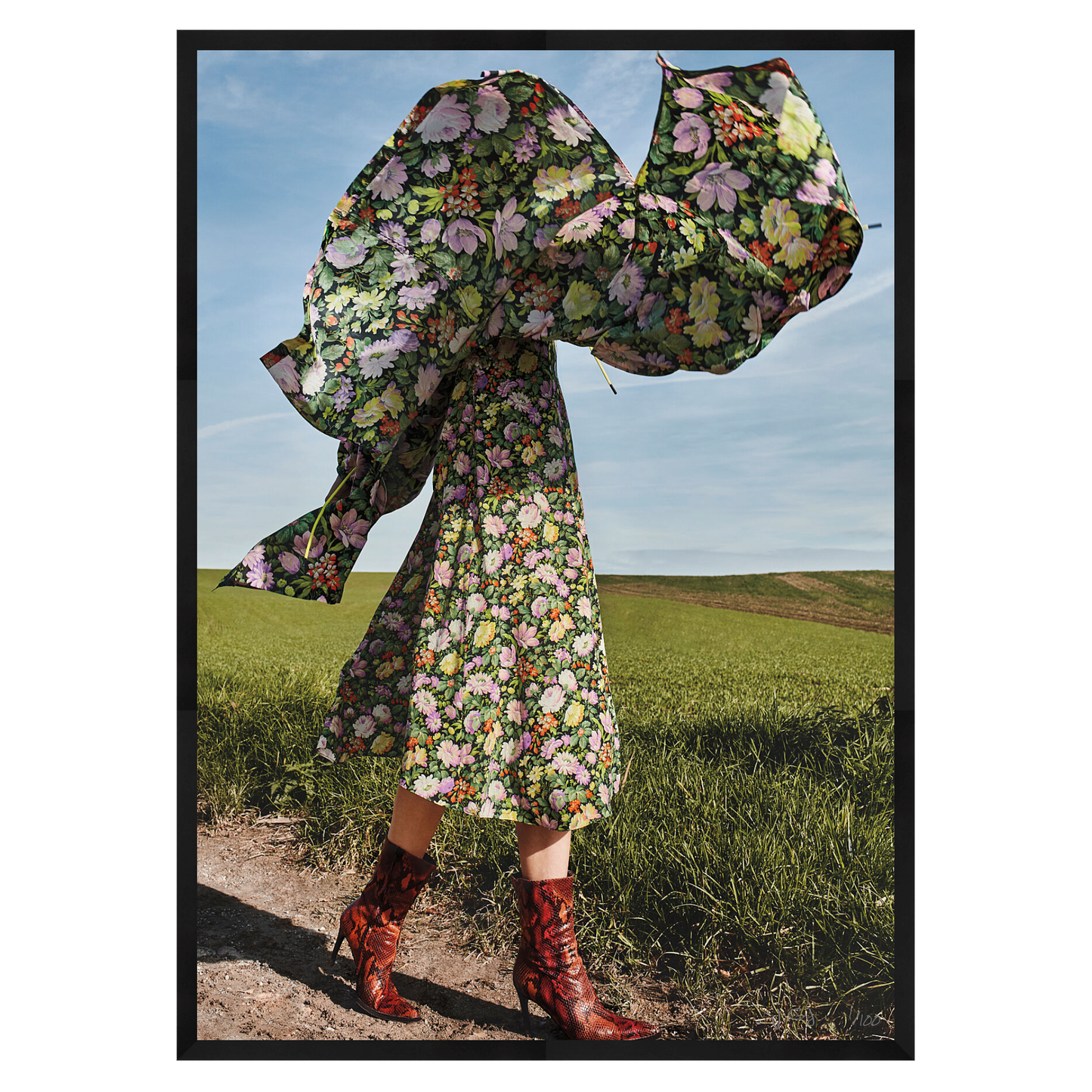 DANCING FIELDS - Limited Edition