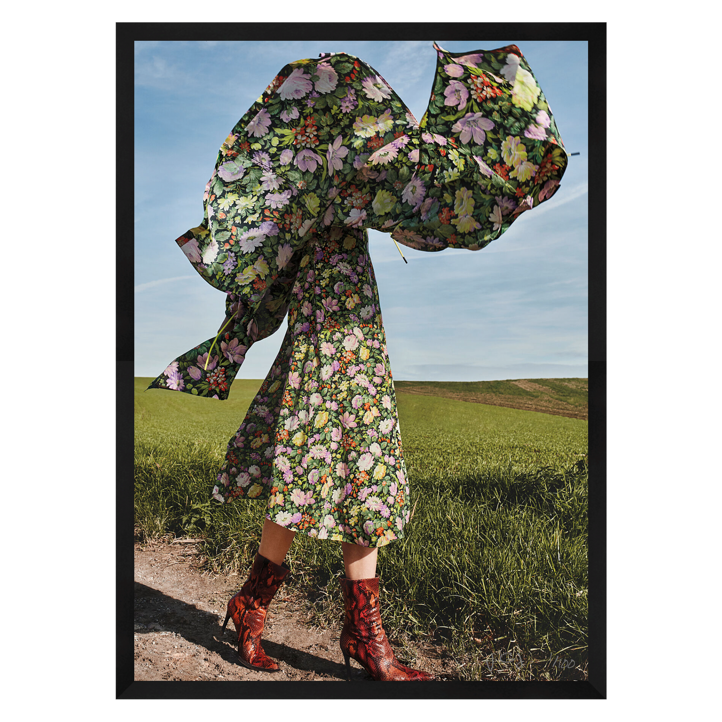DANCING FIELDS - Limited Edition