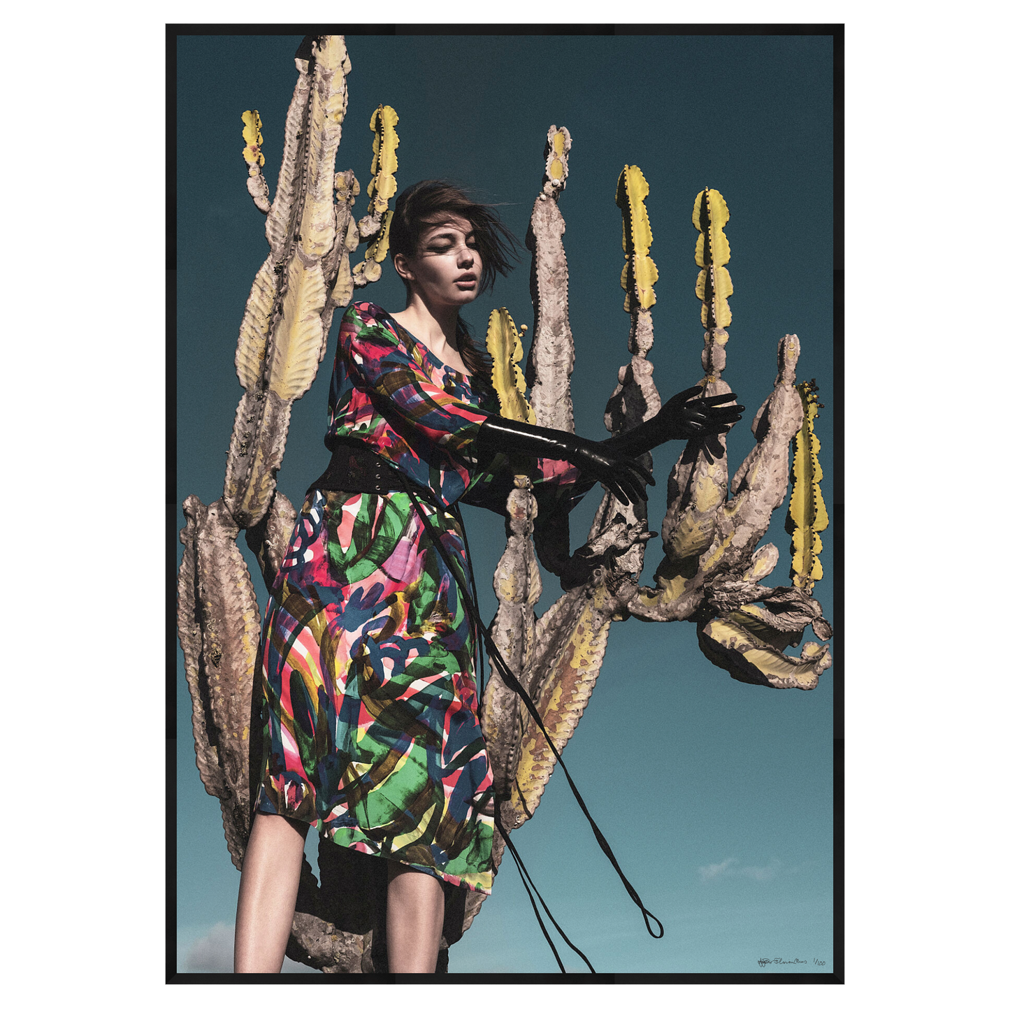 CACTUS - Limited Edition