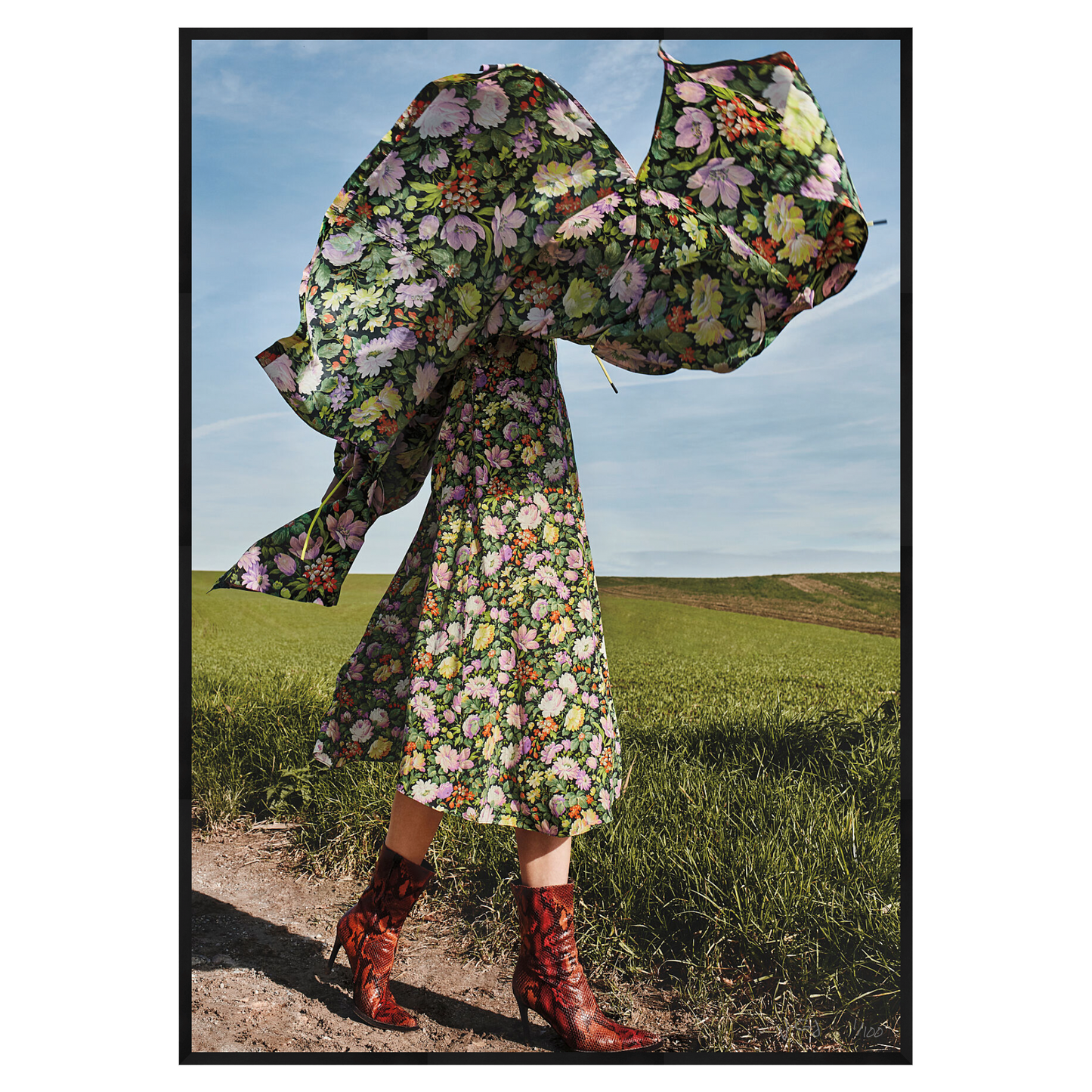 DANCING FIELDS - Limited Edition