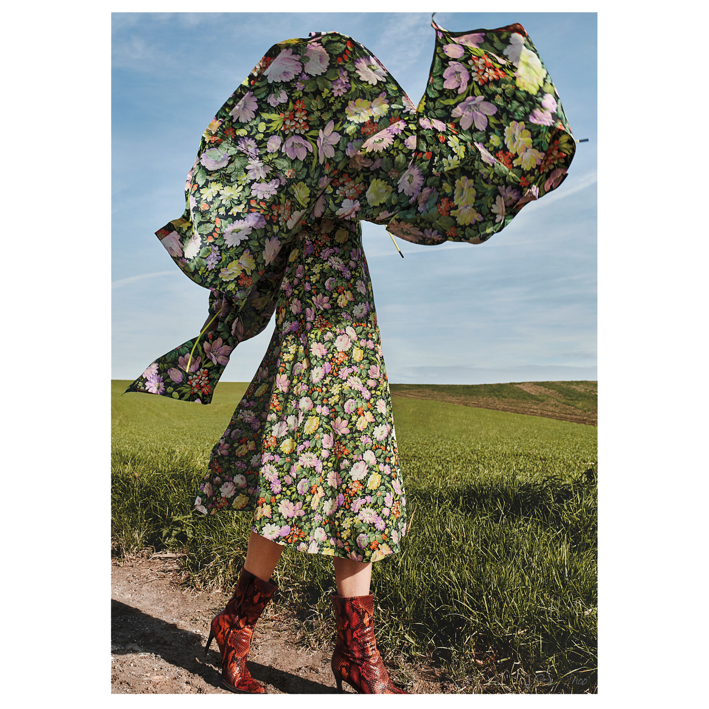 DANCING FIELDS - Limited Edition