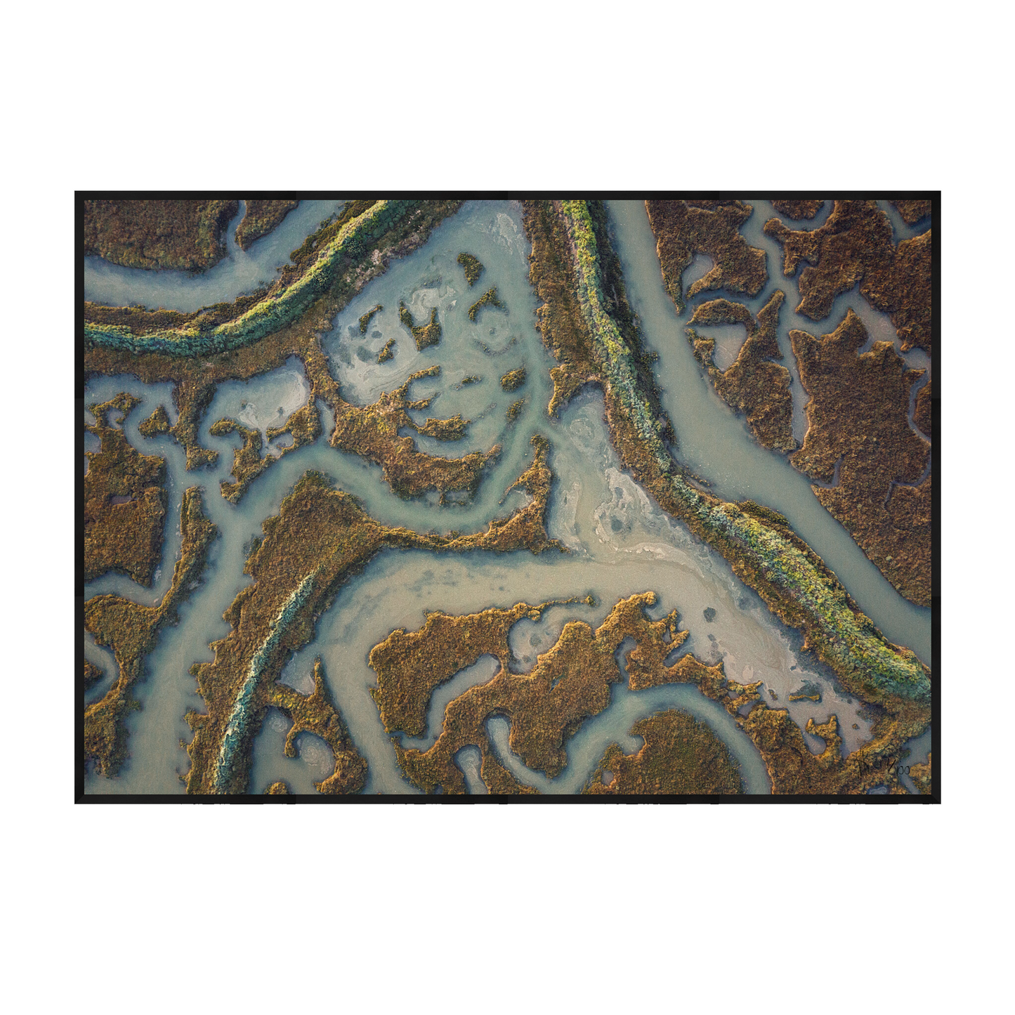 MERSEA #02 - Limited Edition