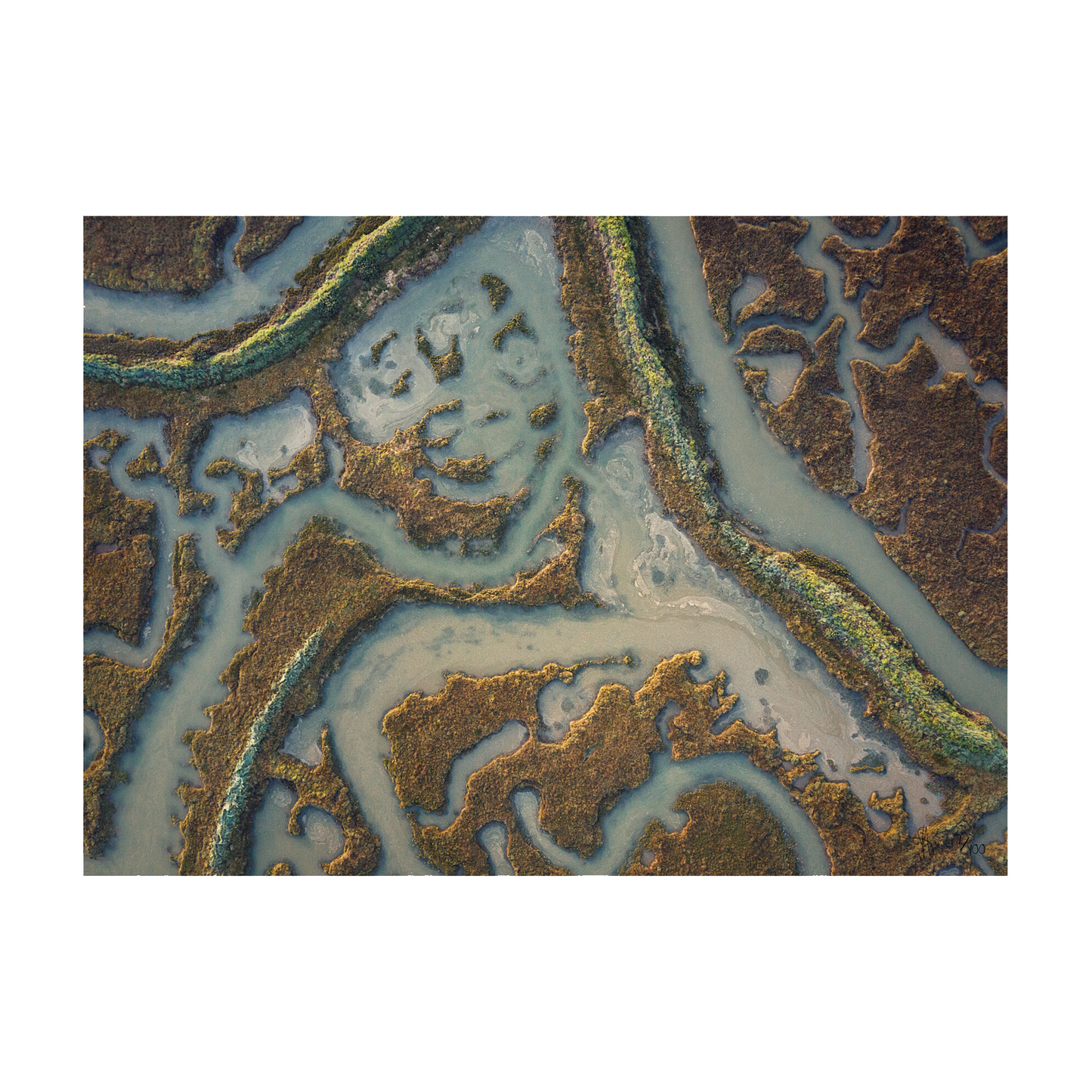 MERSEA #02 - Limited Edition