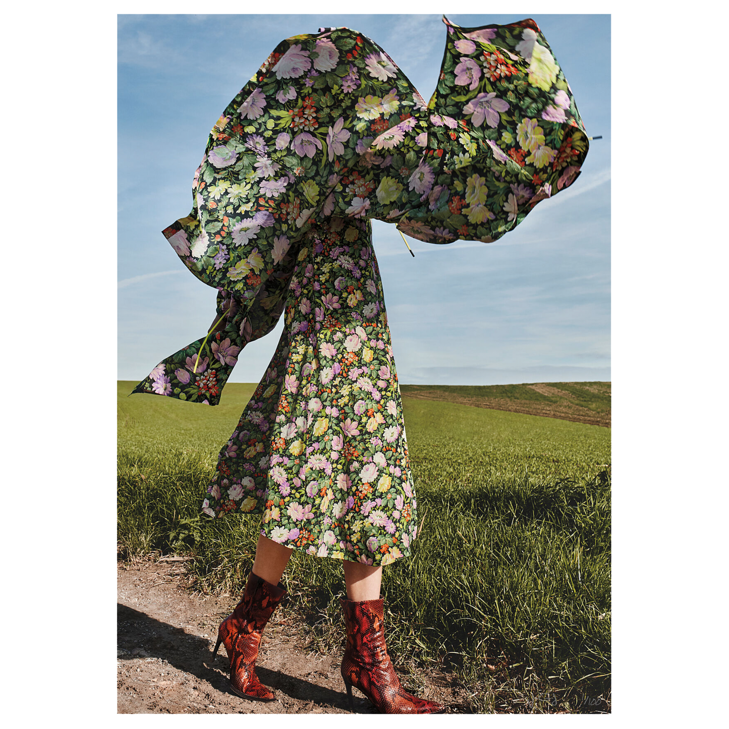DANCING FIELDS - Limited Edition