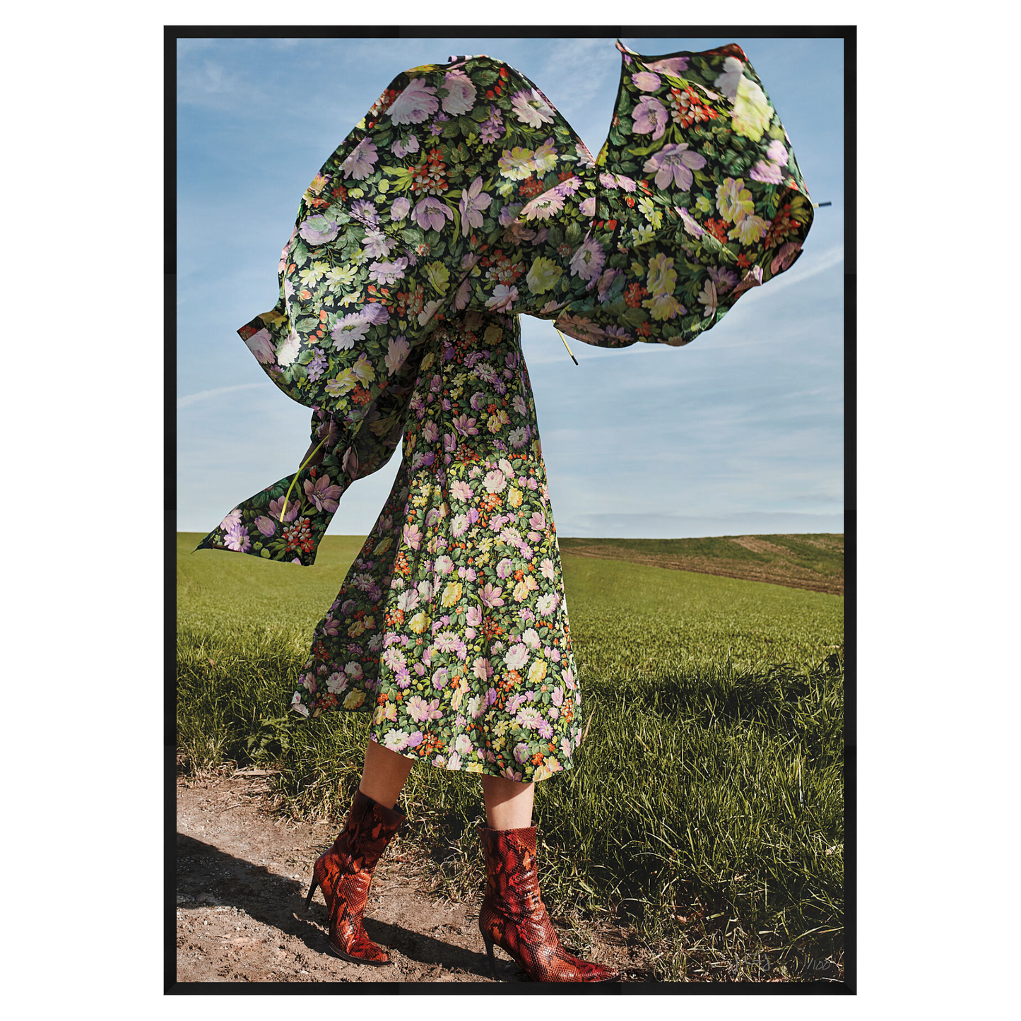 DANCING FIELDS - Limited Edition