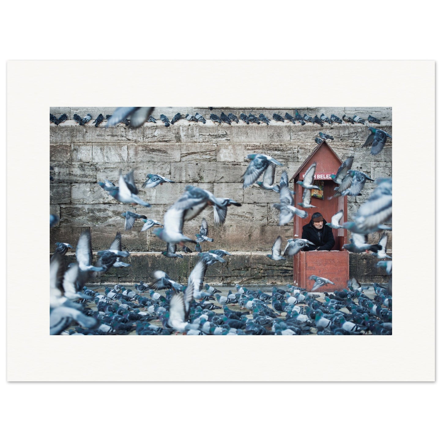 Homme aux pigeons