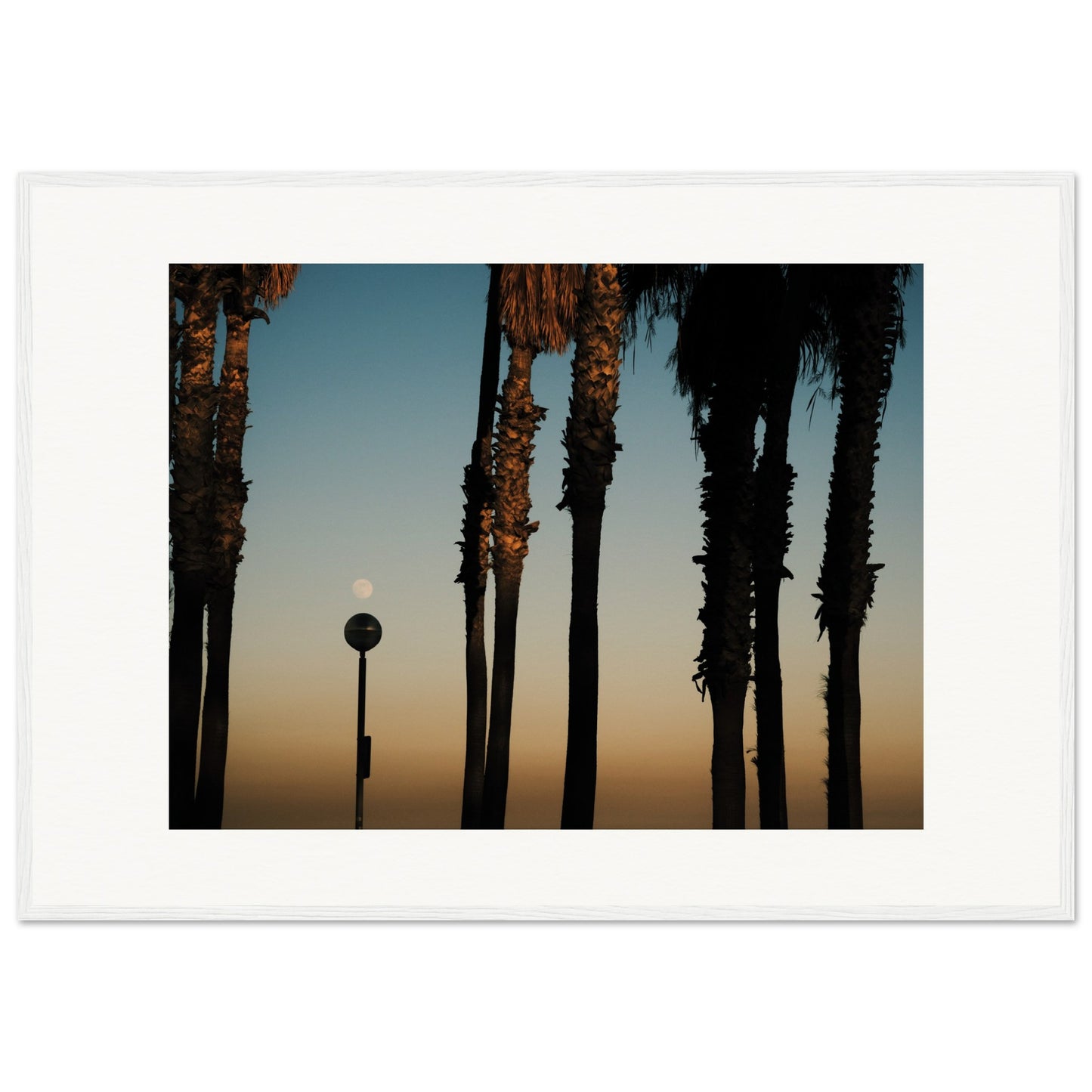 Shapes of Barcelona 05