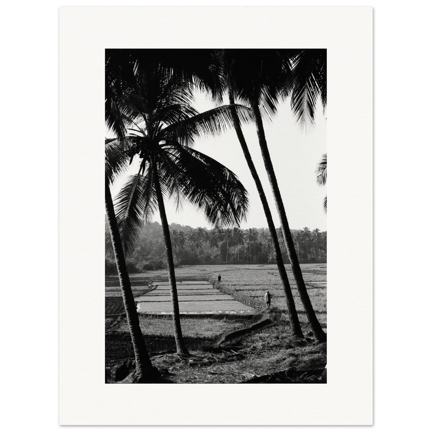 Goa Field