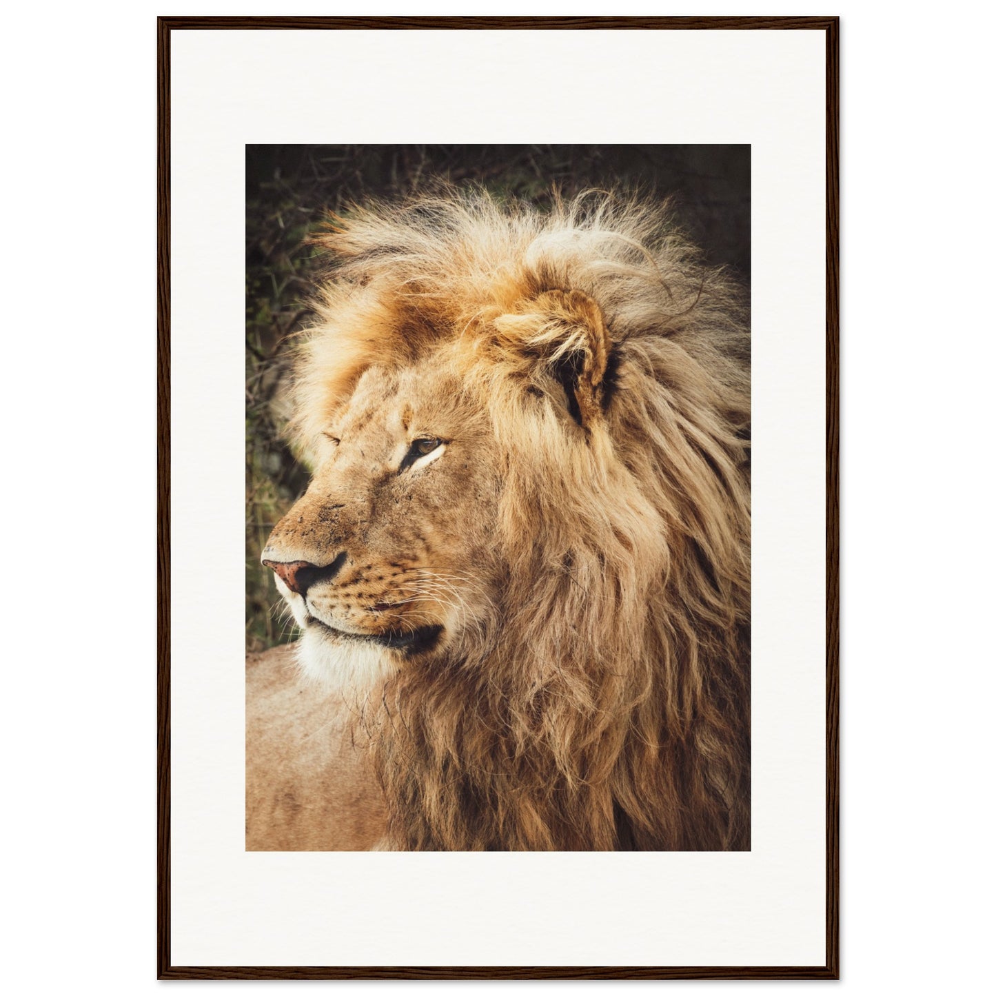 Ngorongoro Ndutu Leo