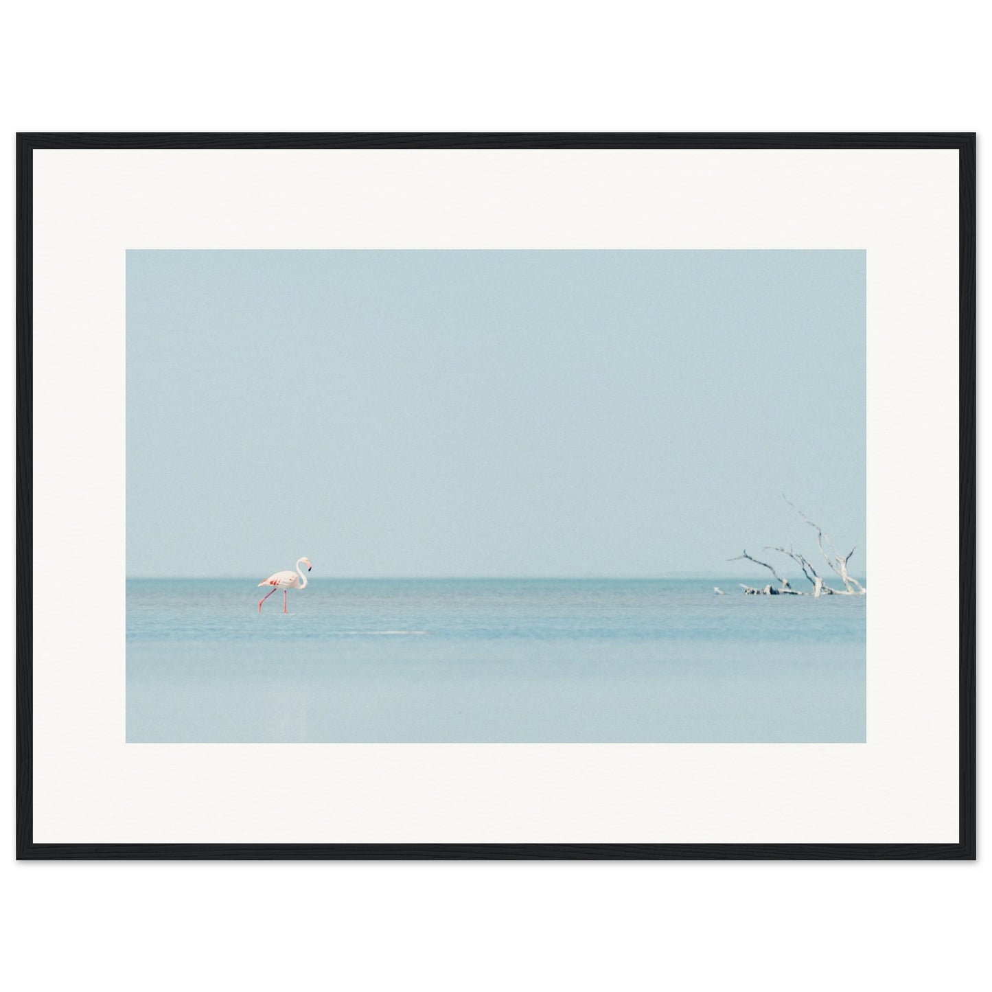Flamingo La Capeliere