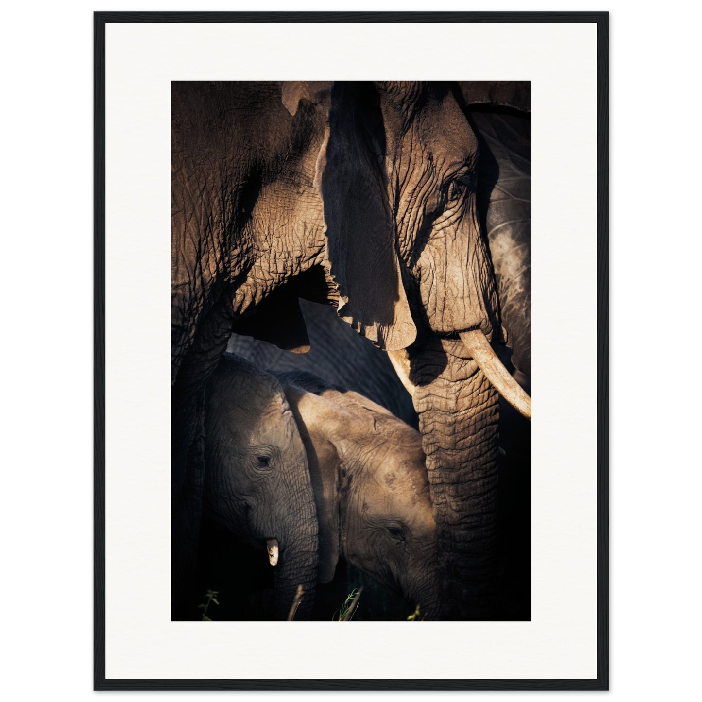Serengeti Elephant