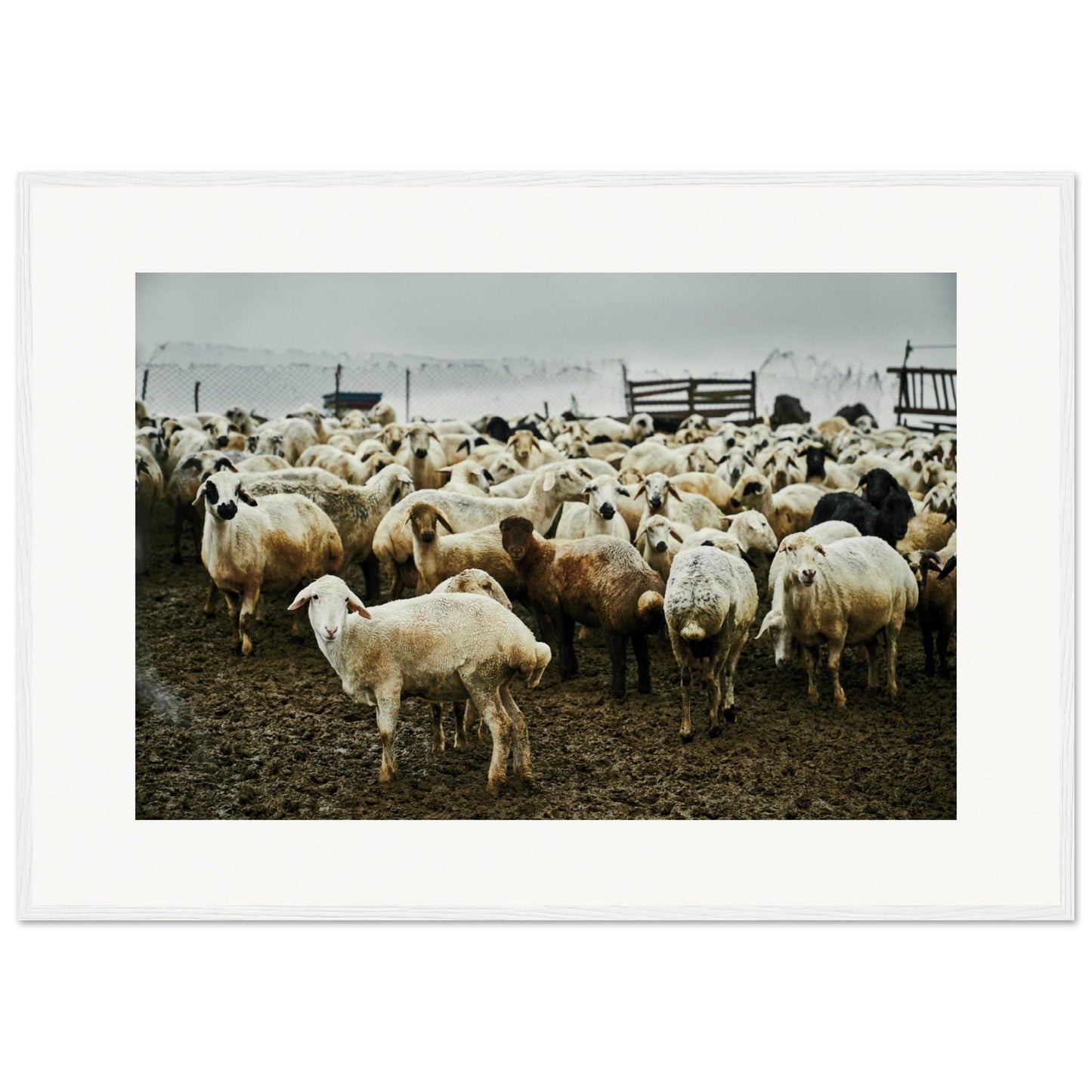 d2d4f40d-6ee0-408f-85de-ee06ac349212